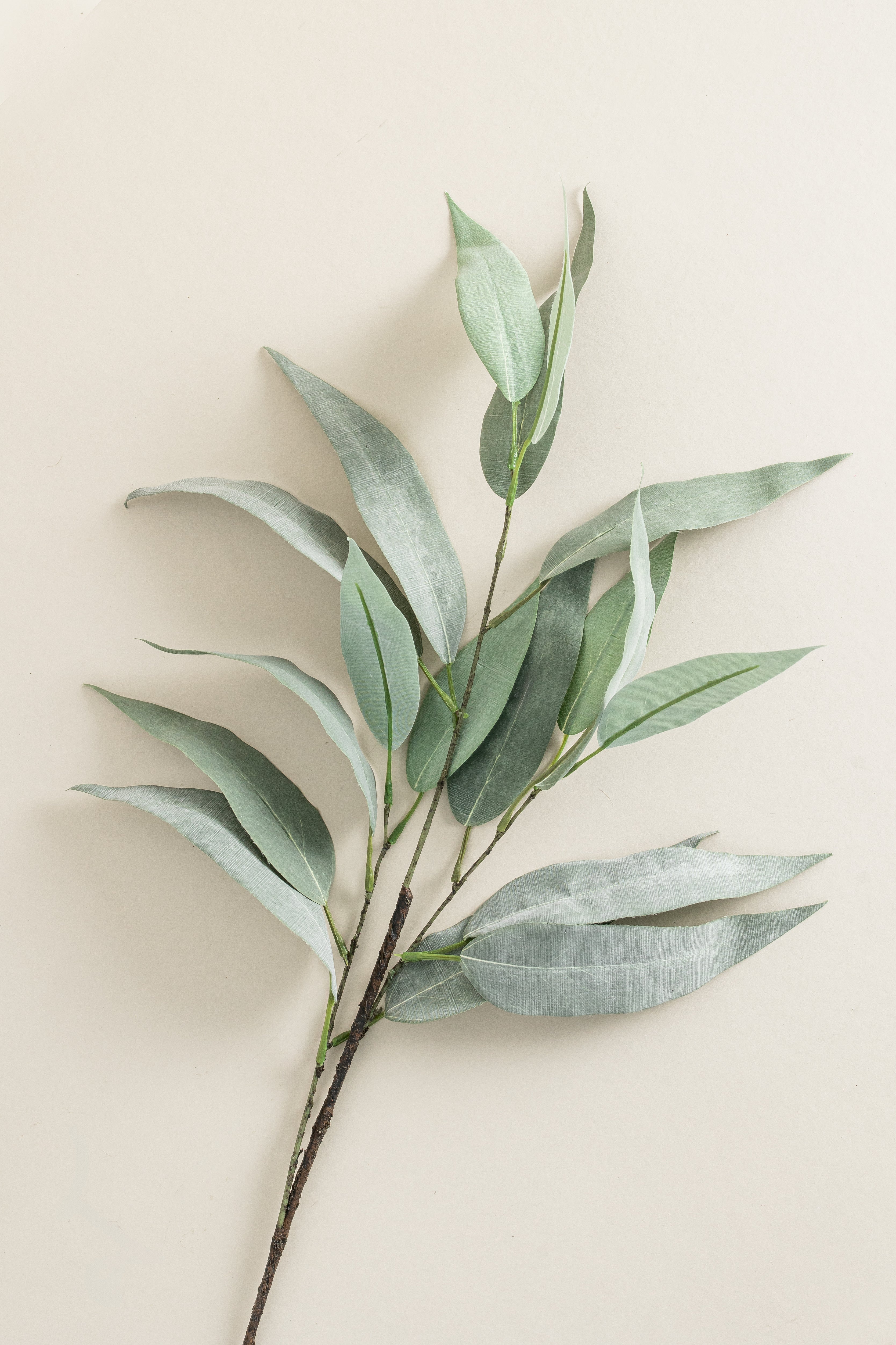 Eucalyptus Stem - 32"