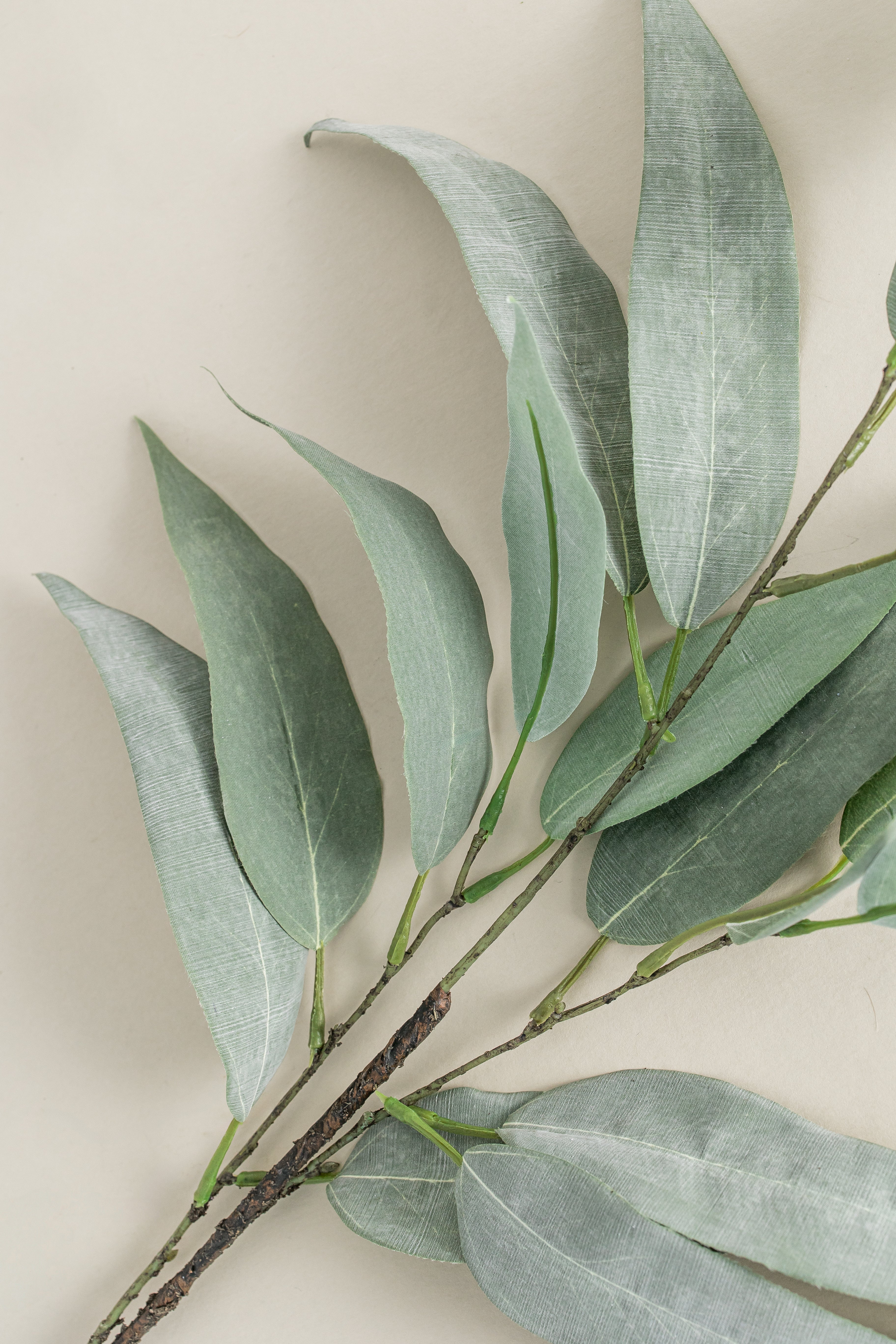 Eucalyptus Stem - 32"