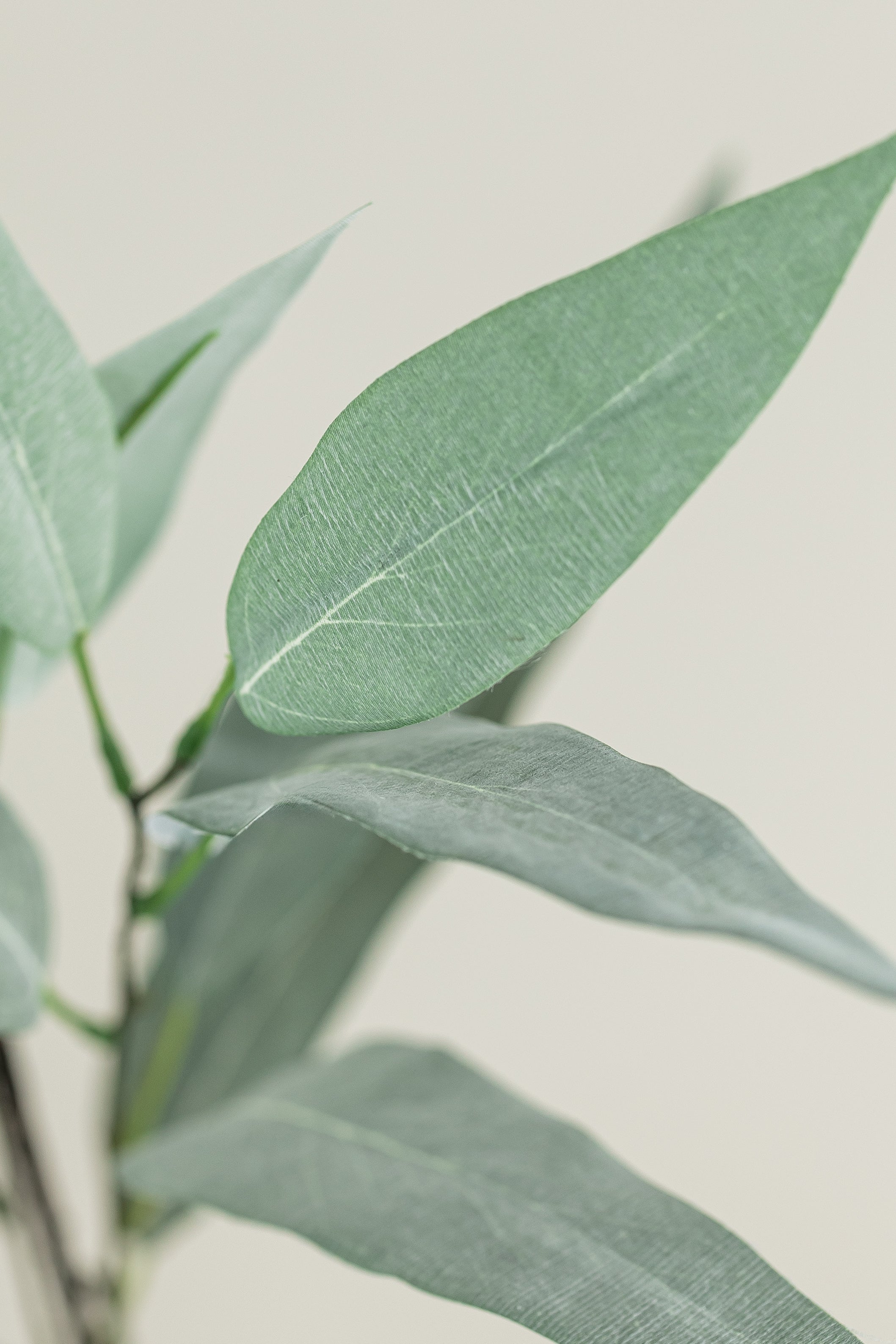Eucalyptus Stem - 32"