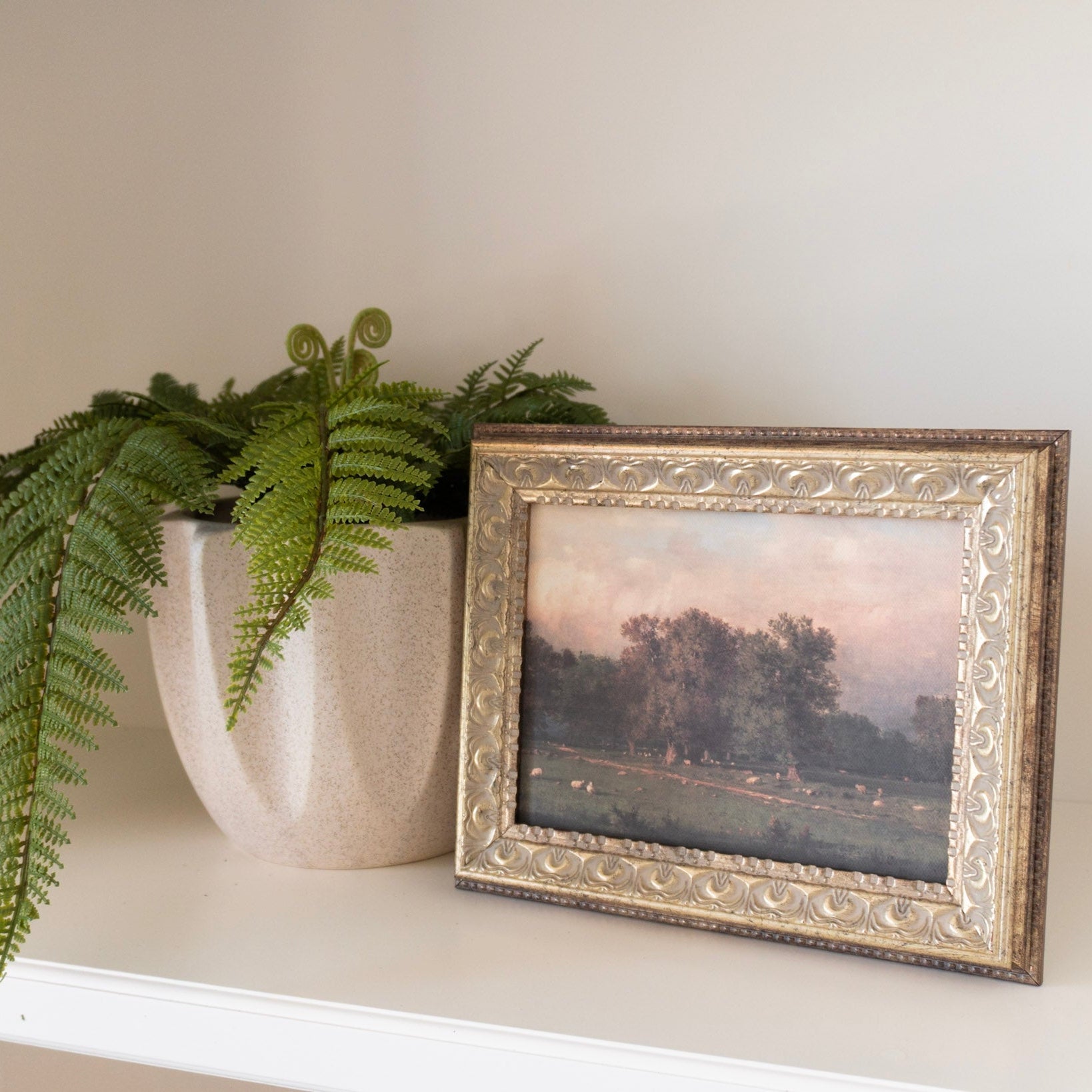 Fern Meadow Moment