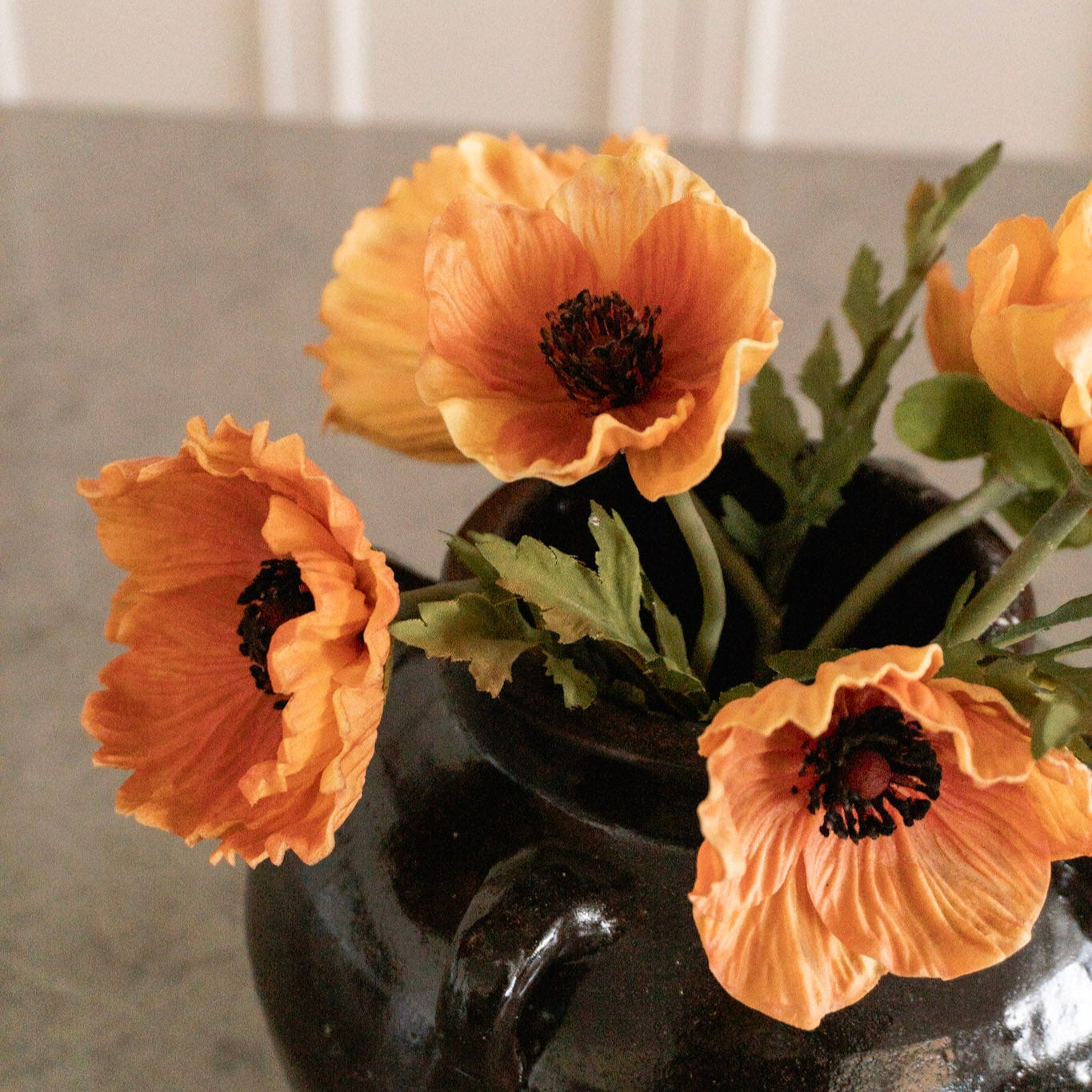 Light Orange Poppy Pairing