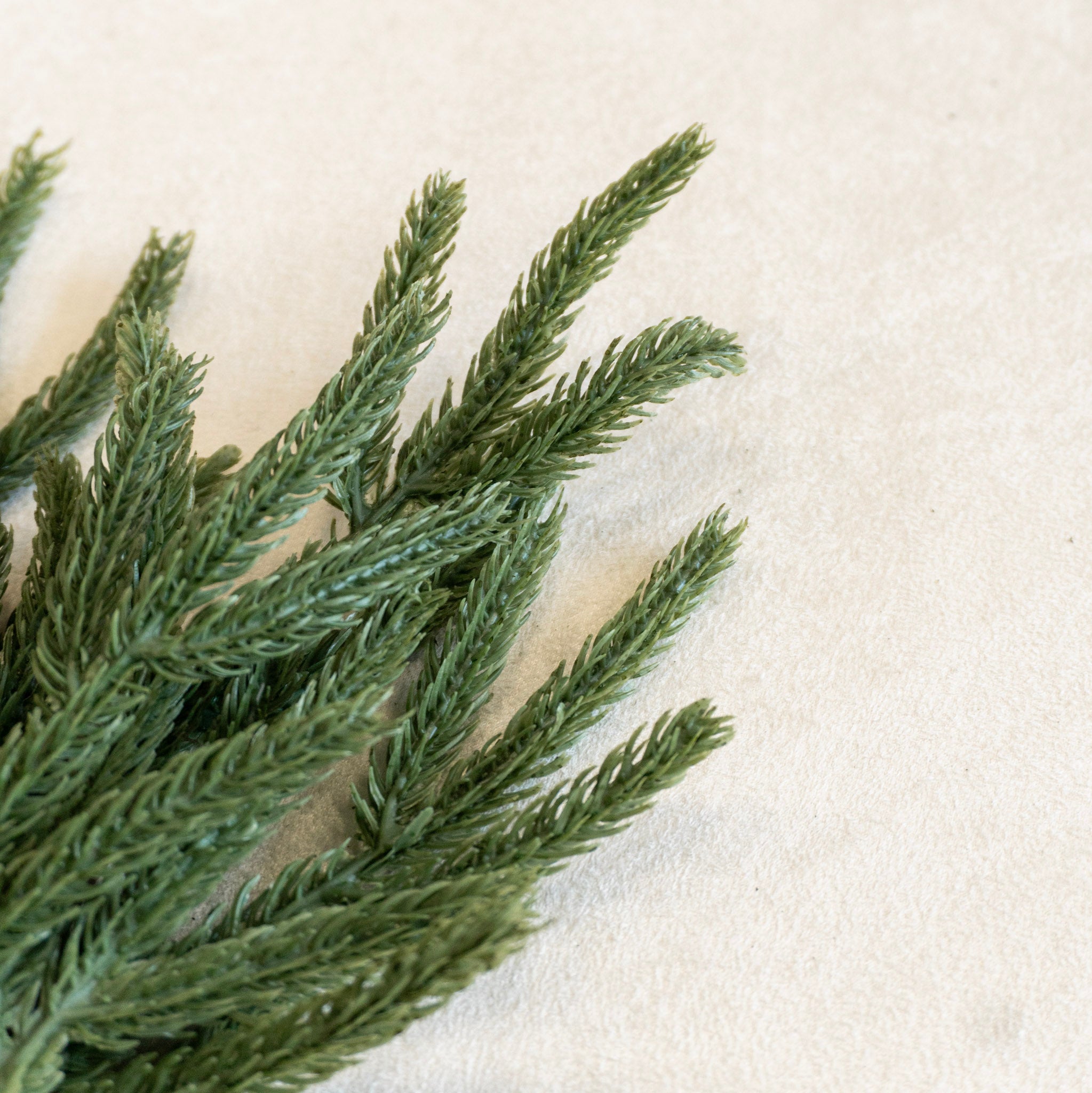 14" Evergreen Pick