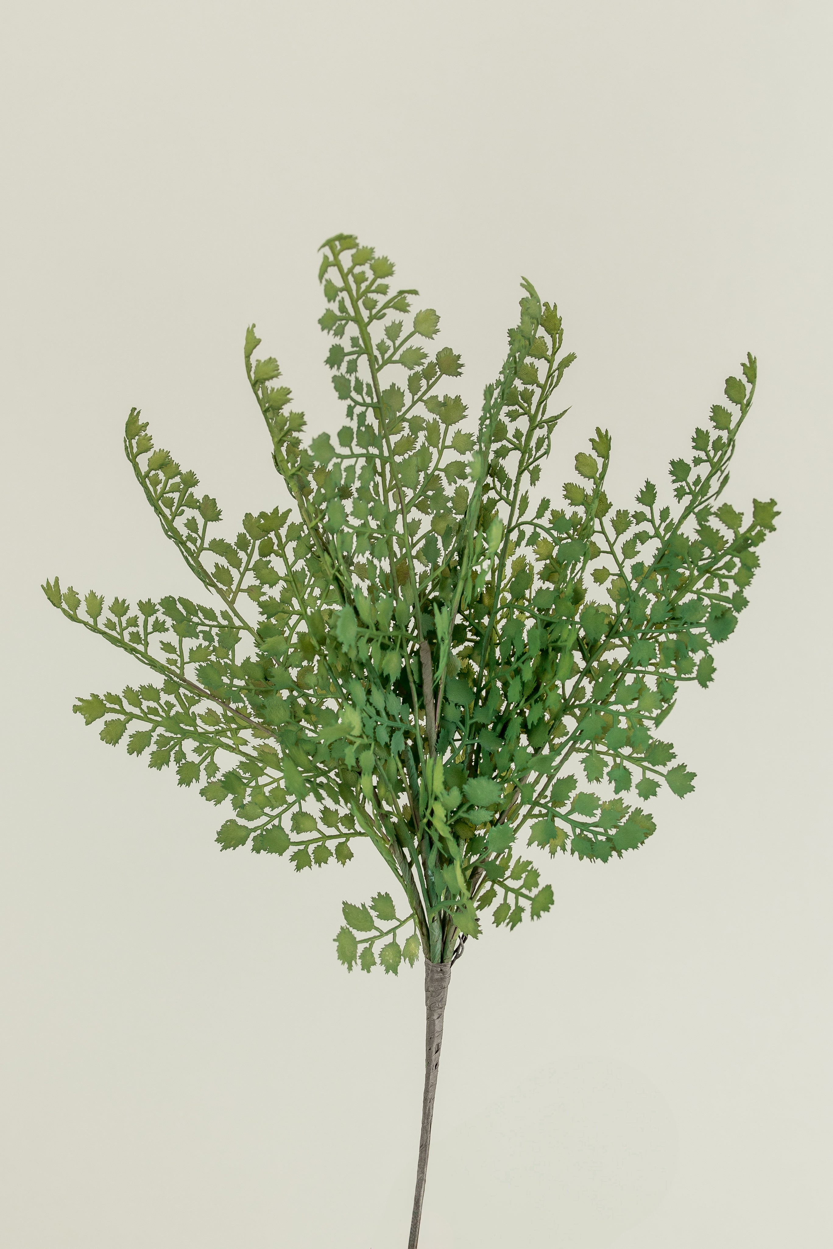 Maidenhair Fern Spray