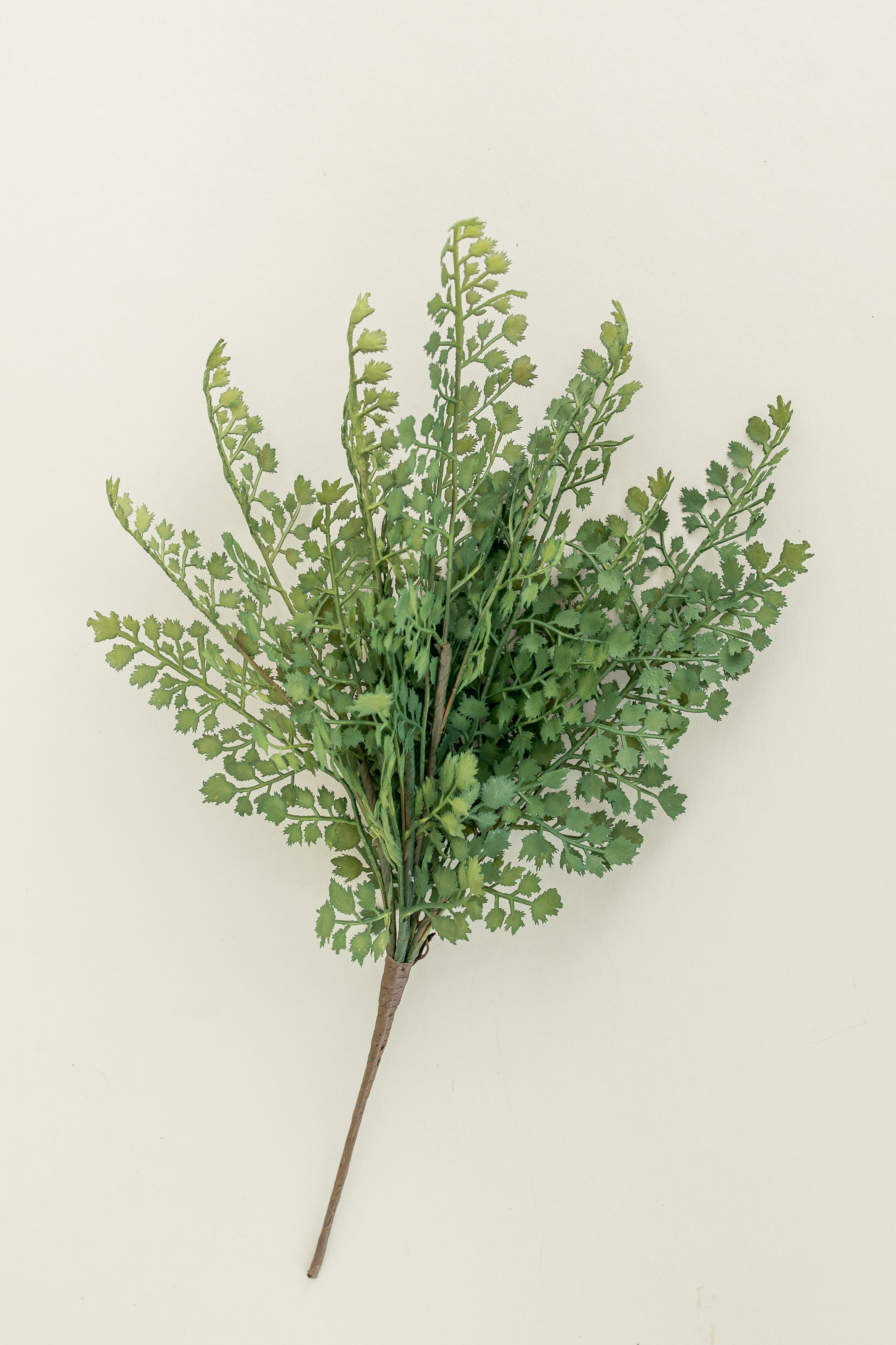 Maidenhair Fern Spray