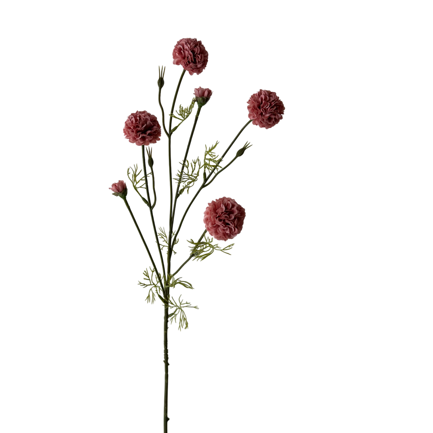 Chrysanthemum 32" Pink