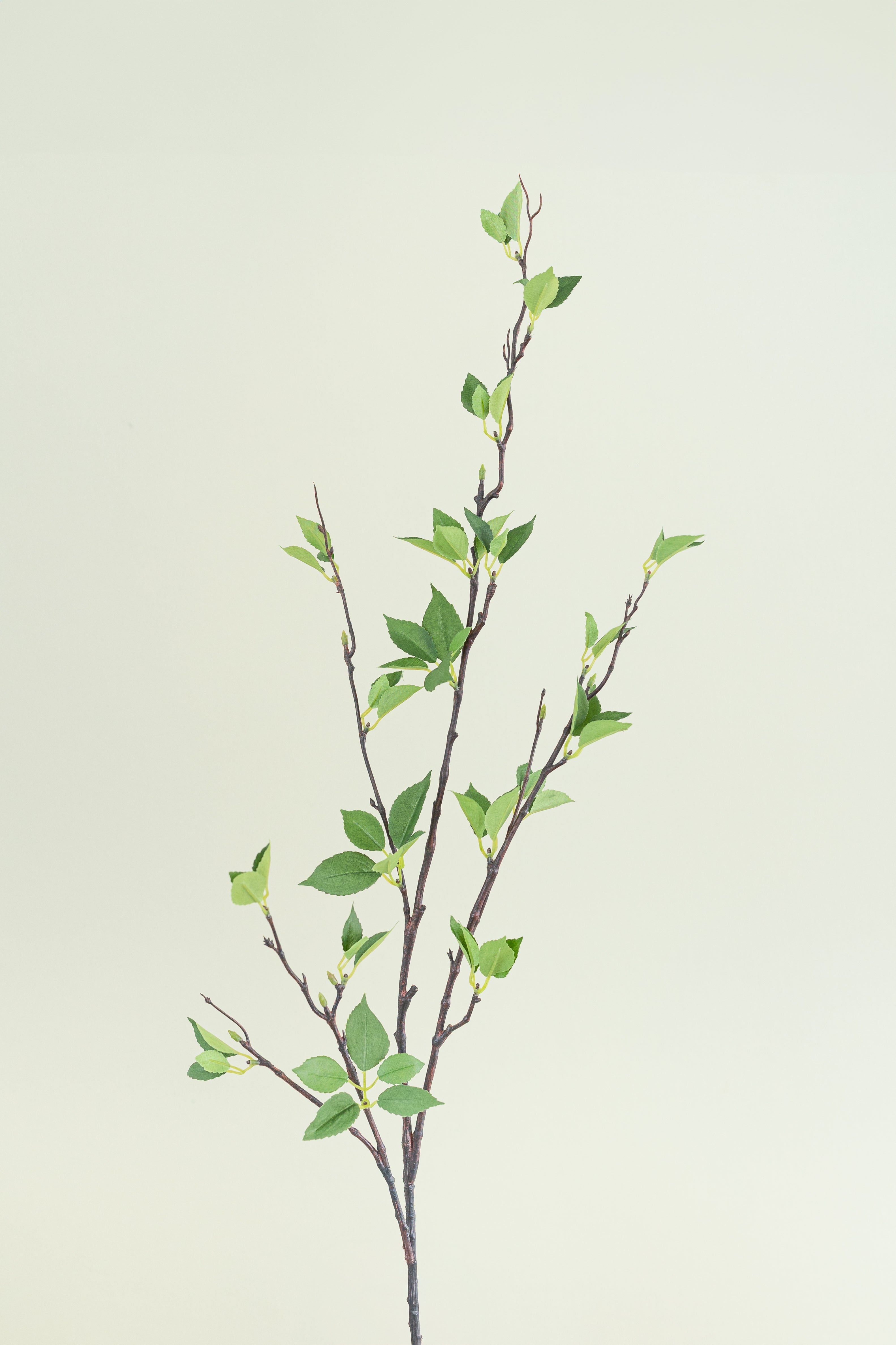 Green Leaf Branch - 46"
