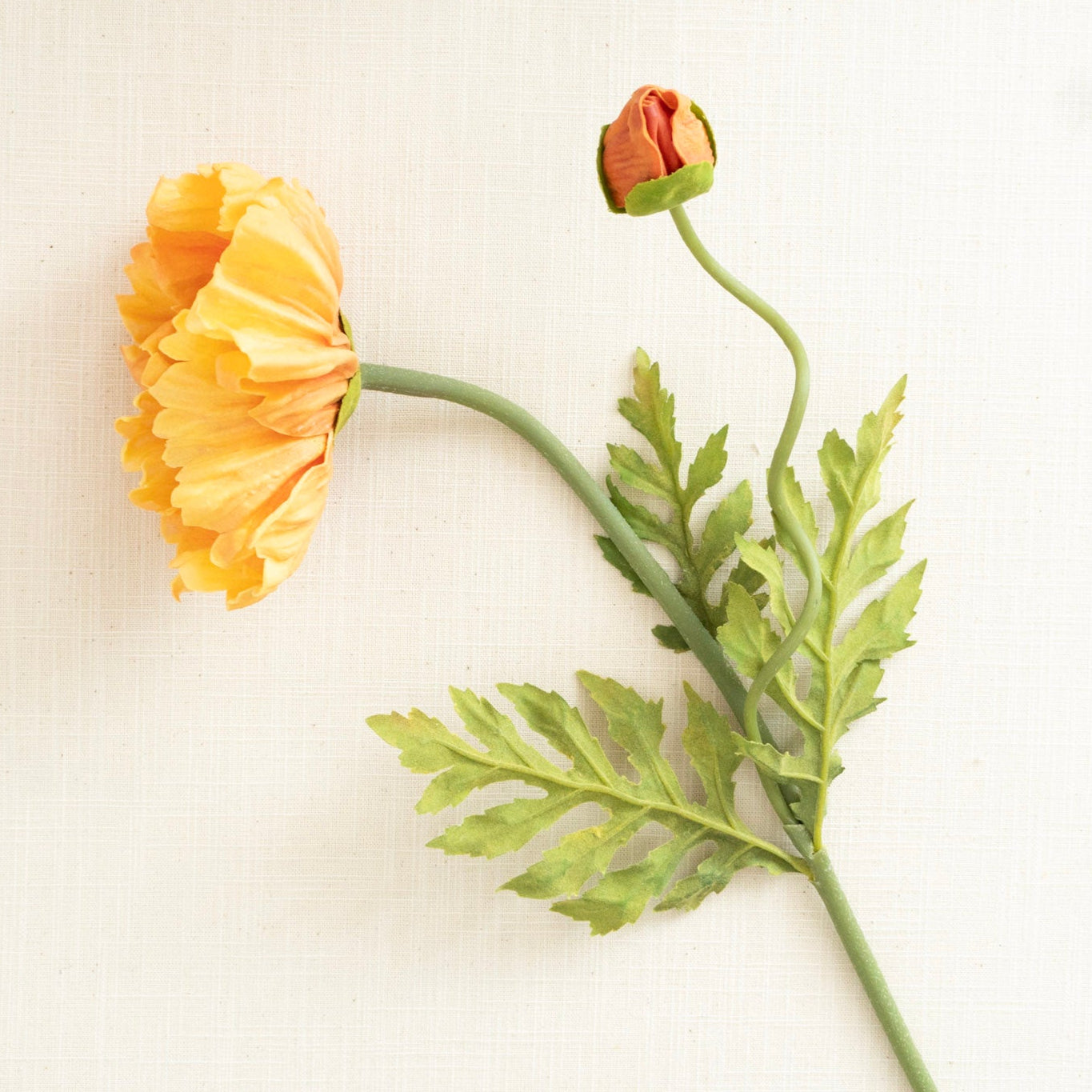 Light Orange Poppy