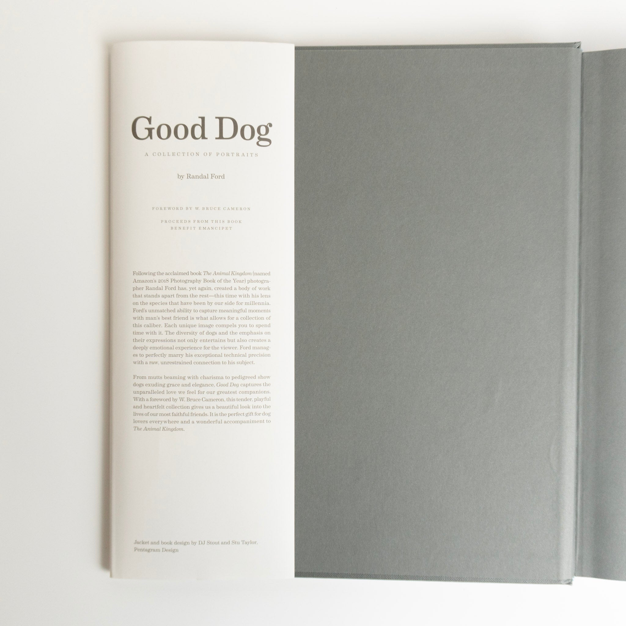 Good Dog