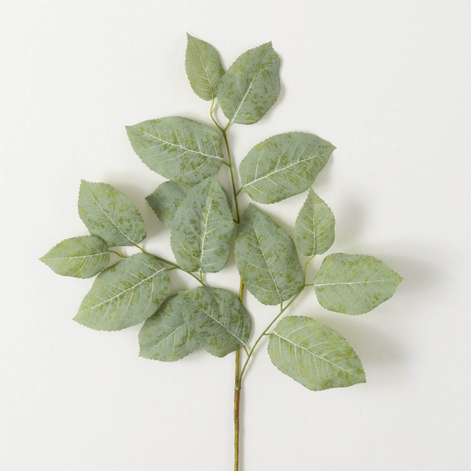 Lemon Leaf Stem - 26"