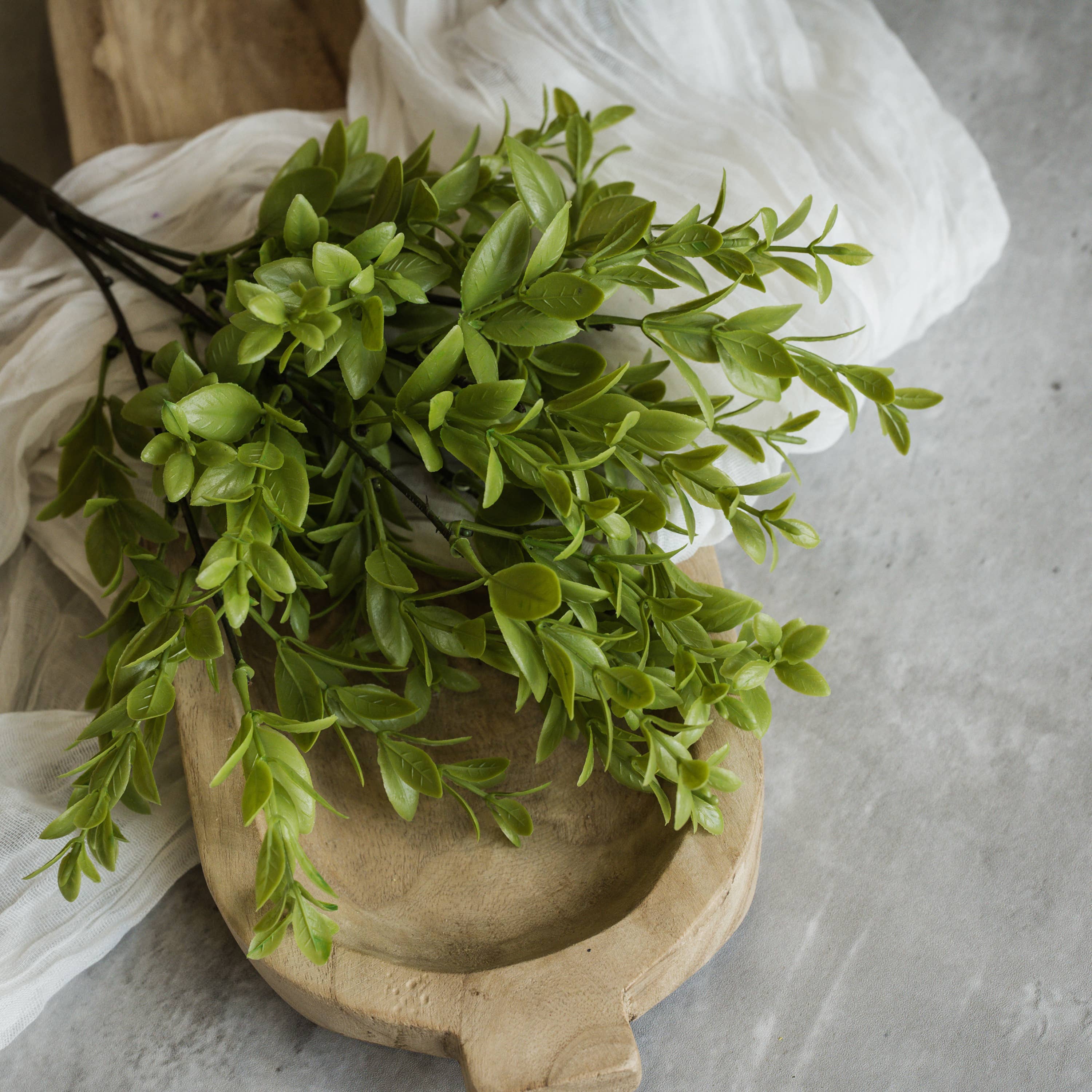 14" Ruscus Leaf Bush