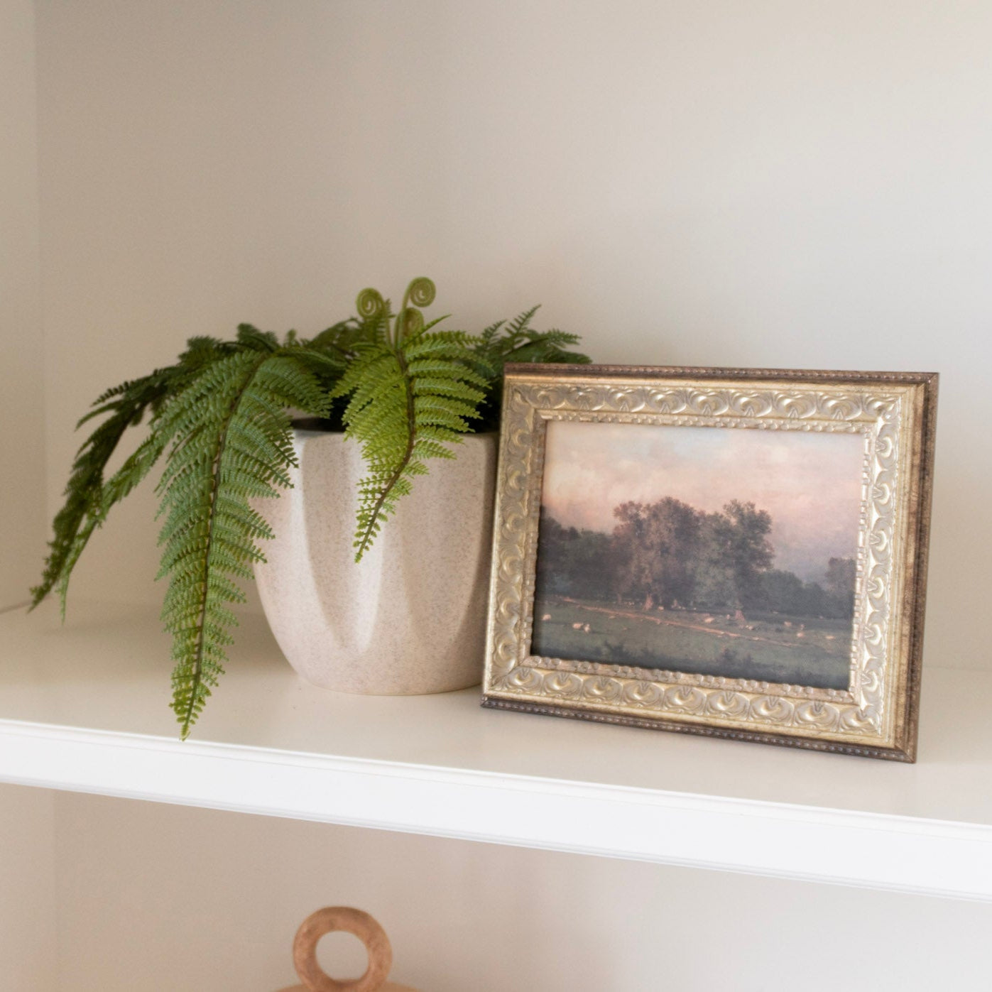 Fern Meadow Moment