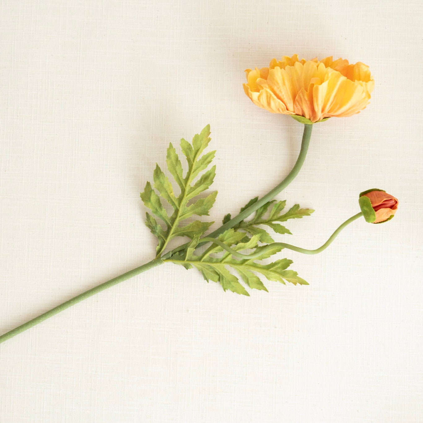 Light Orange Poppy