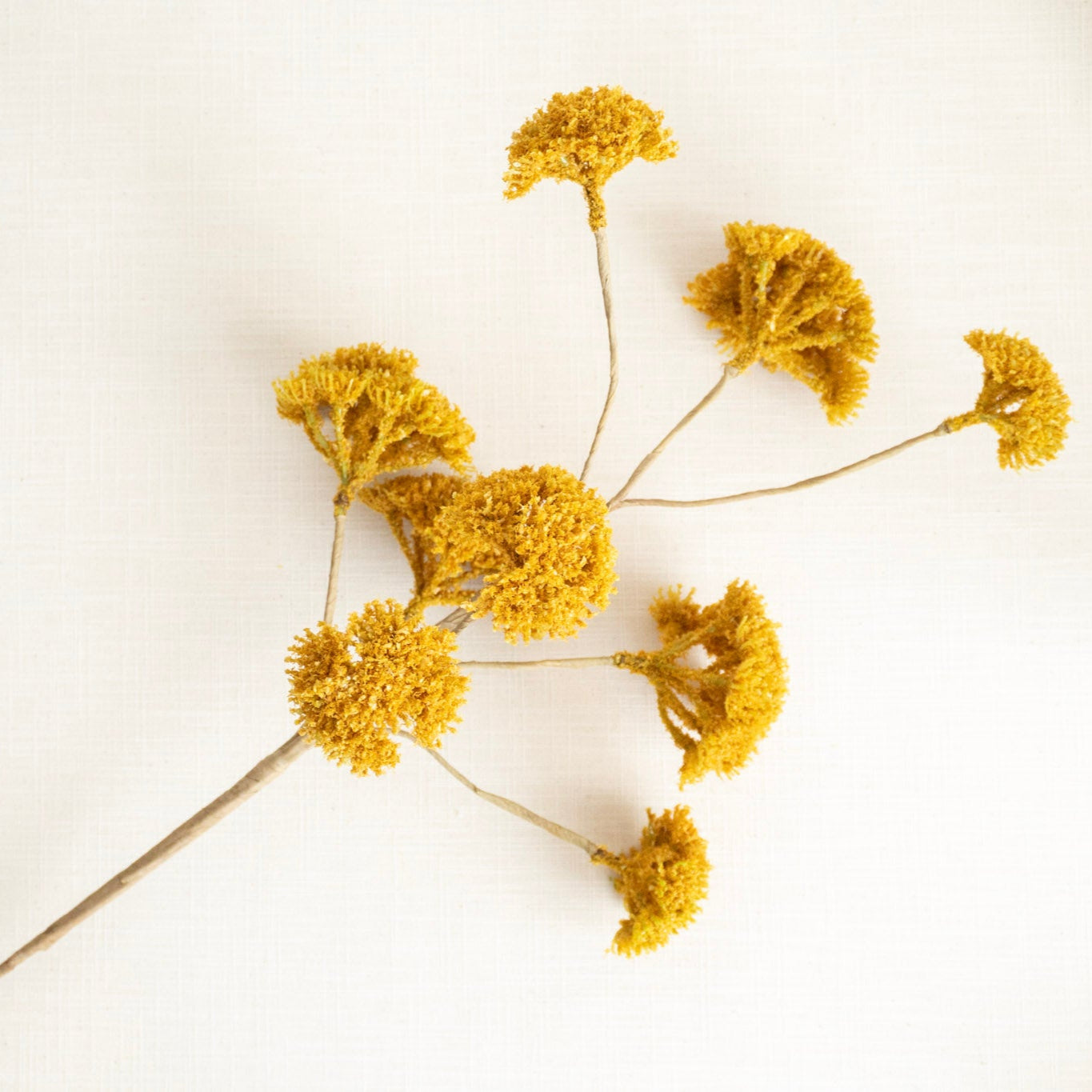 Yarrow Spray
