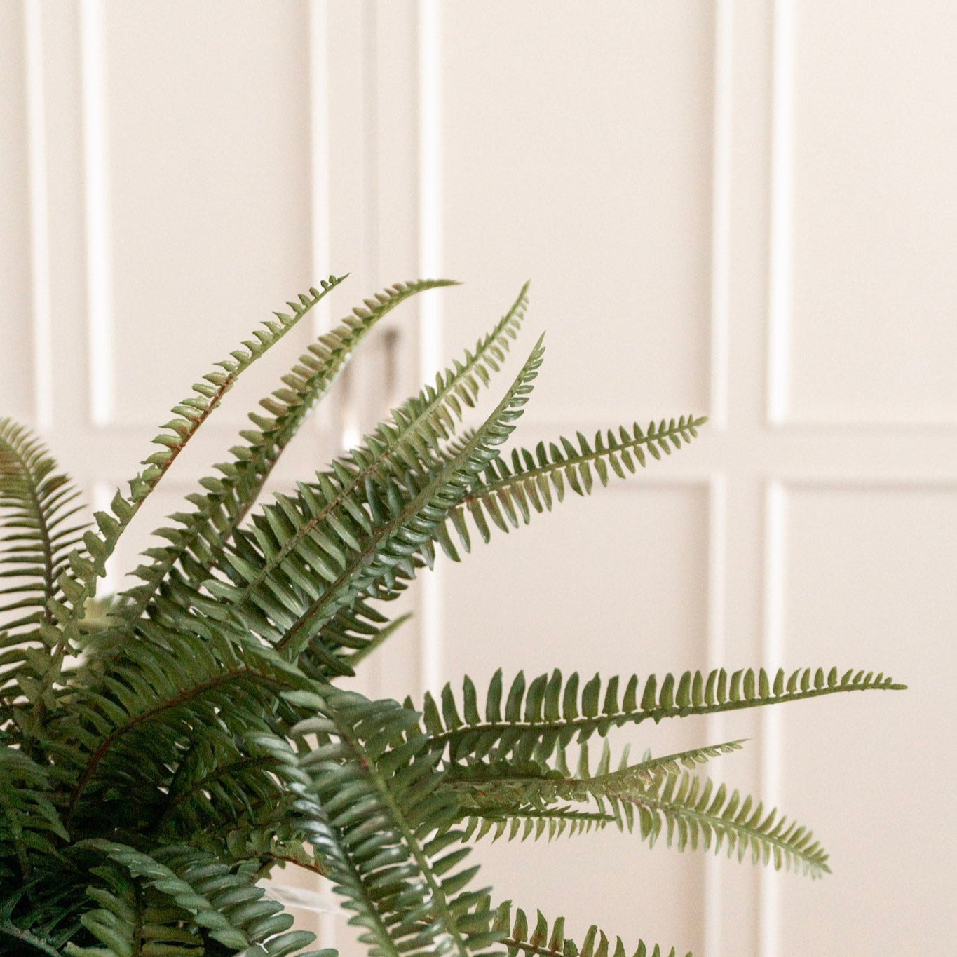 The Boo-tiful Kitchen Bundle