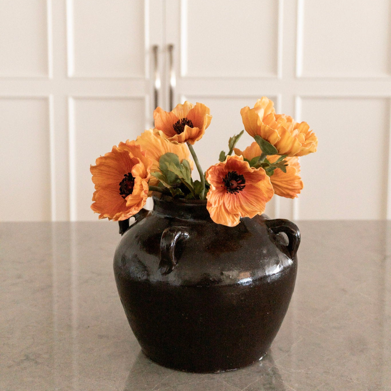 Light Orange Poppy Pairing