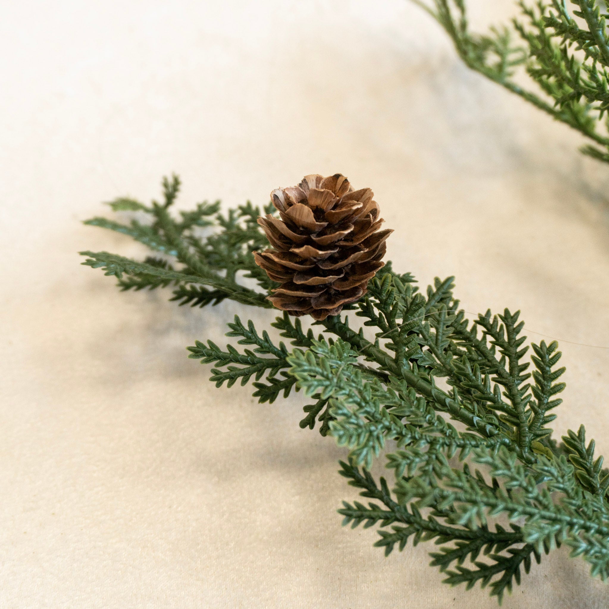 24" Cypress & Pine Cone Spray
