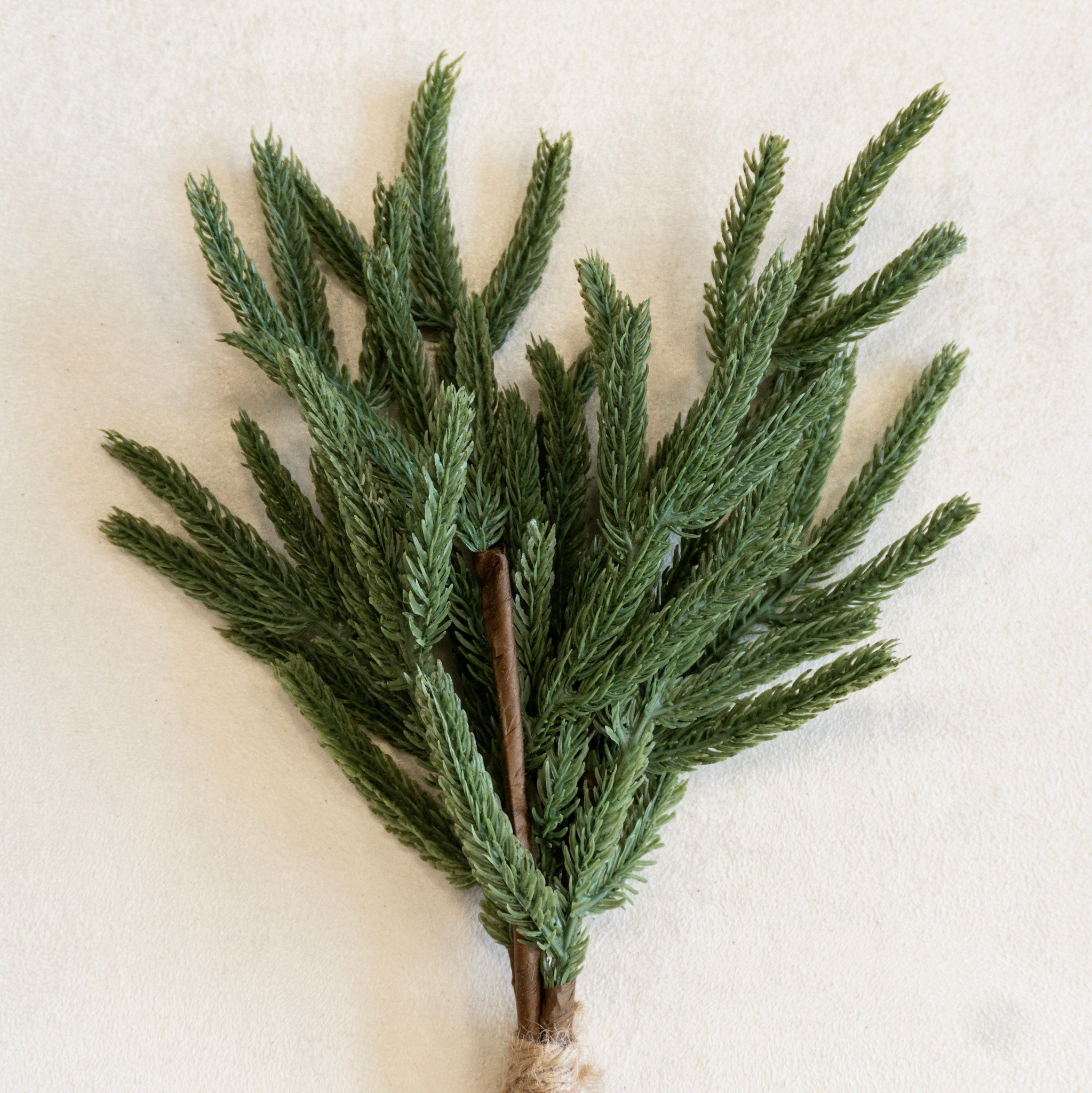 14" Evergreen Pick