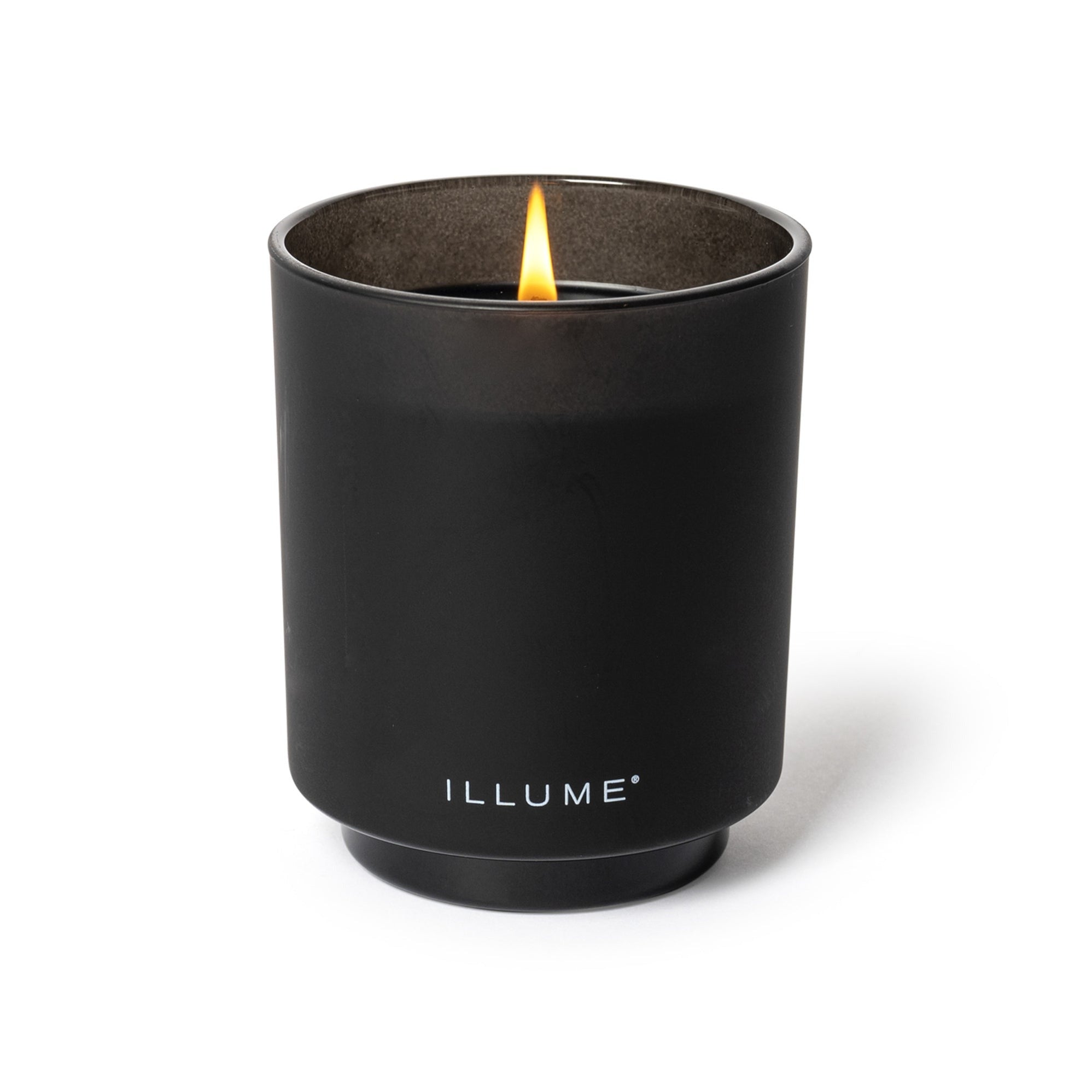 Blackberry Absinthe Candle - 10oz