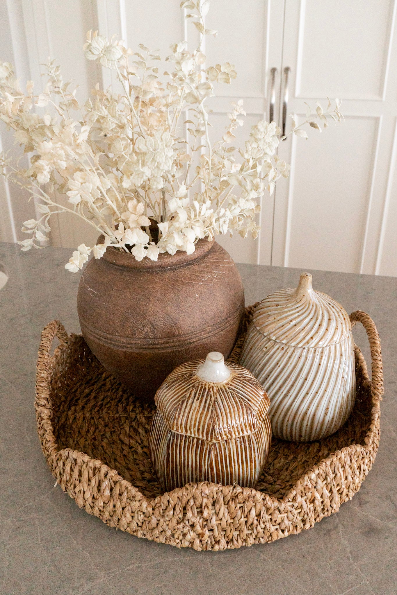 The Birch Bundle