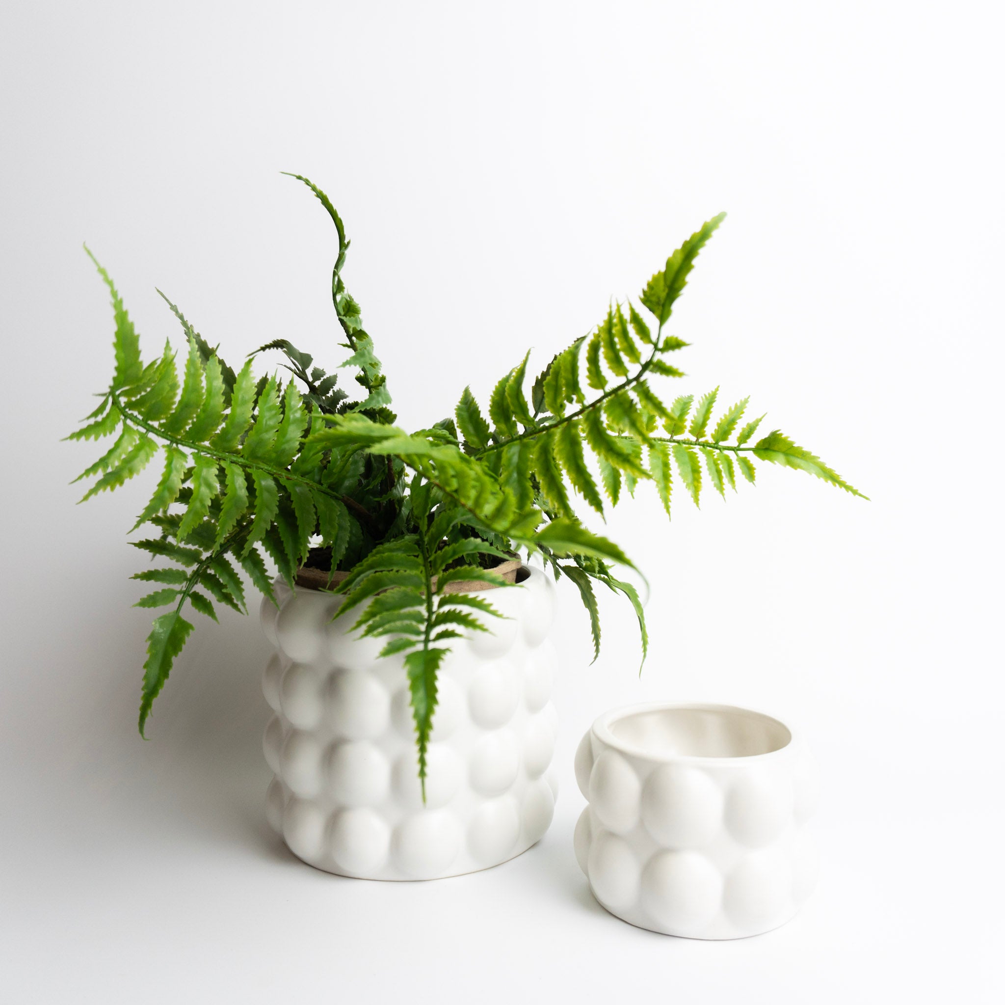 Bubble Pot
