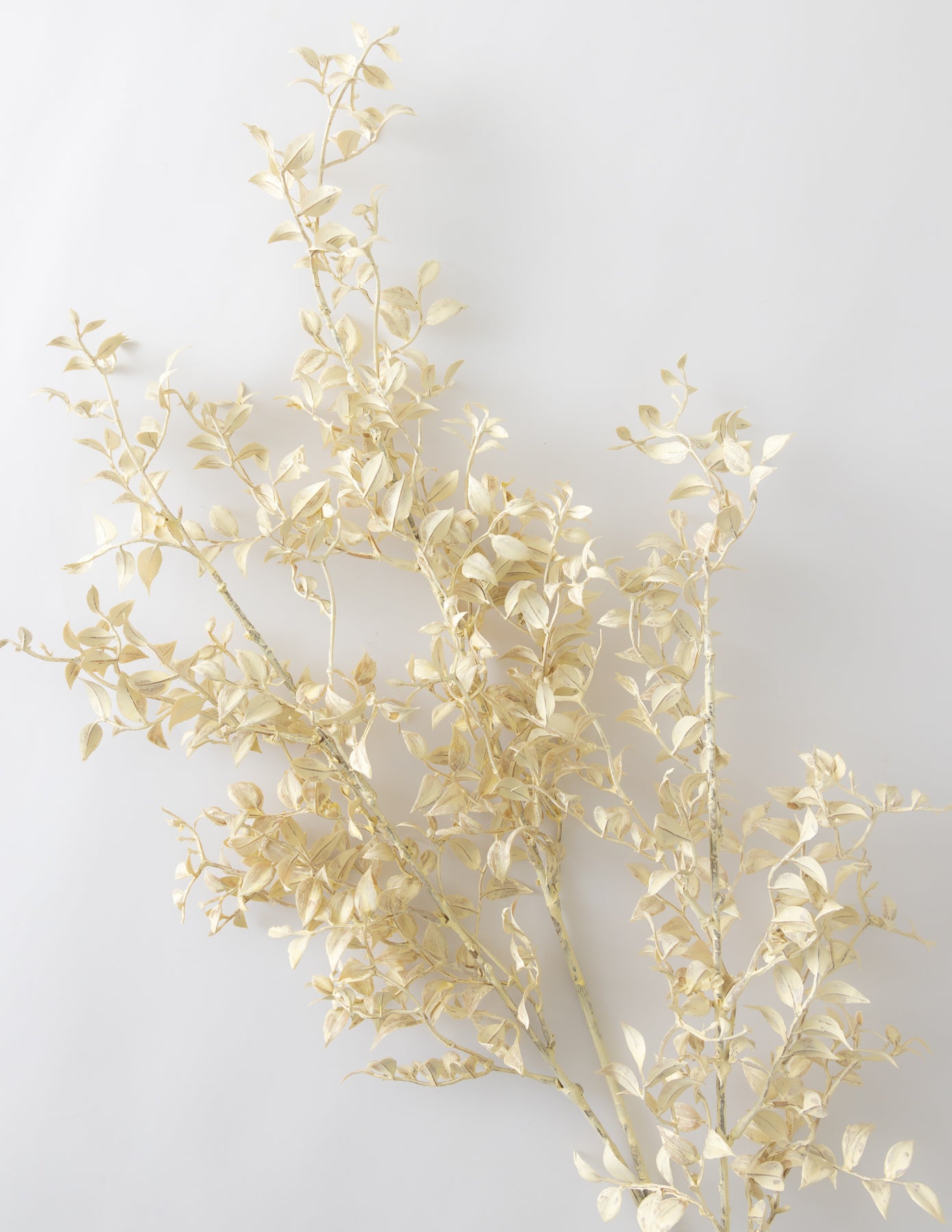 Smilax Stem - 35"