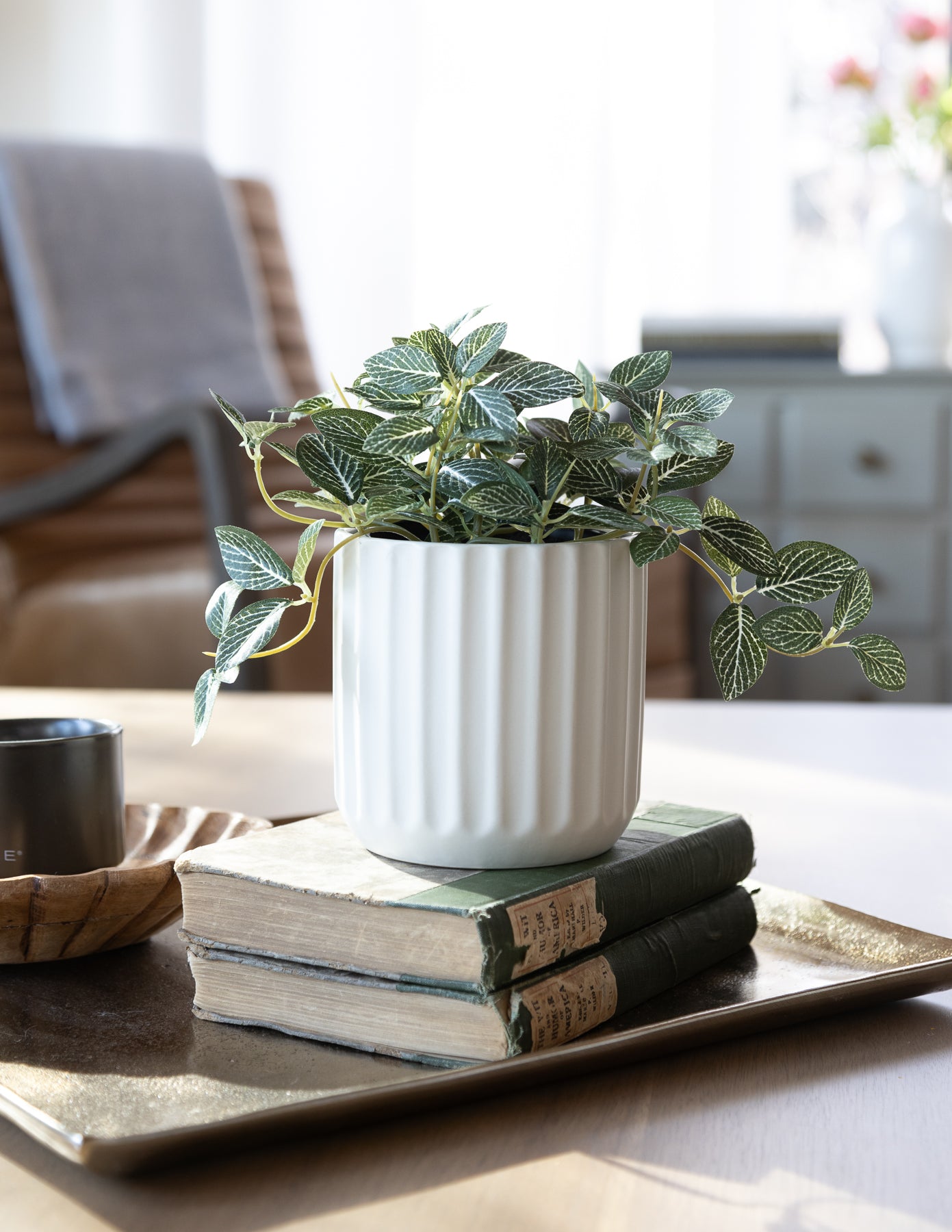 Faux Fittonia in a Pot