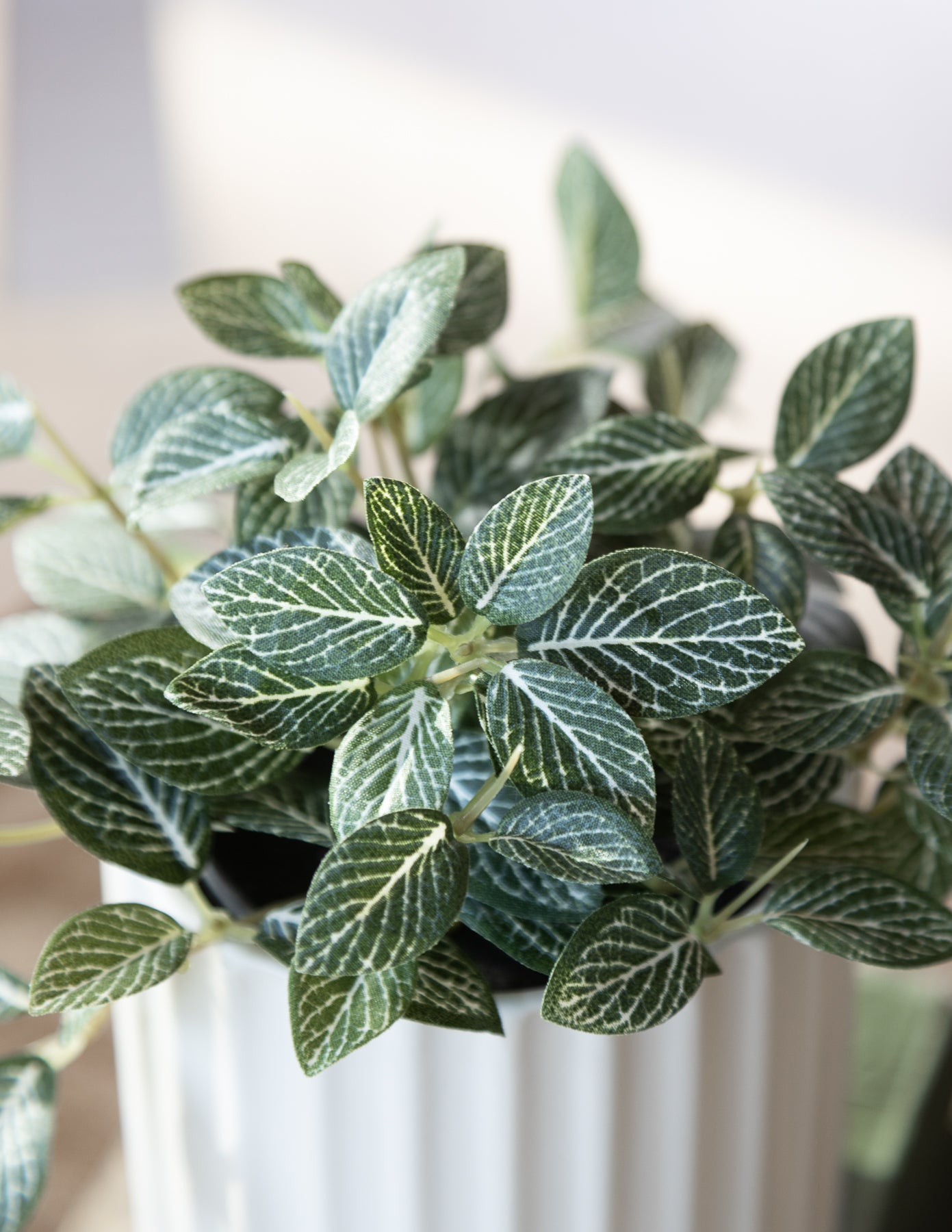 Faux Fittonia in a Pot