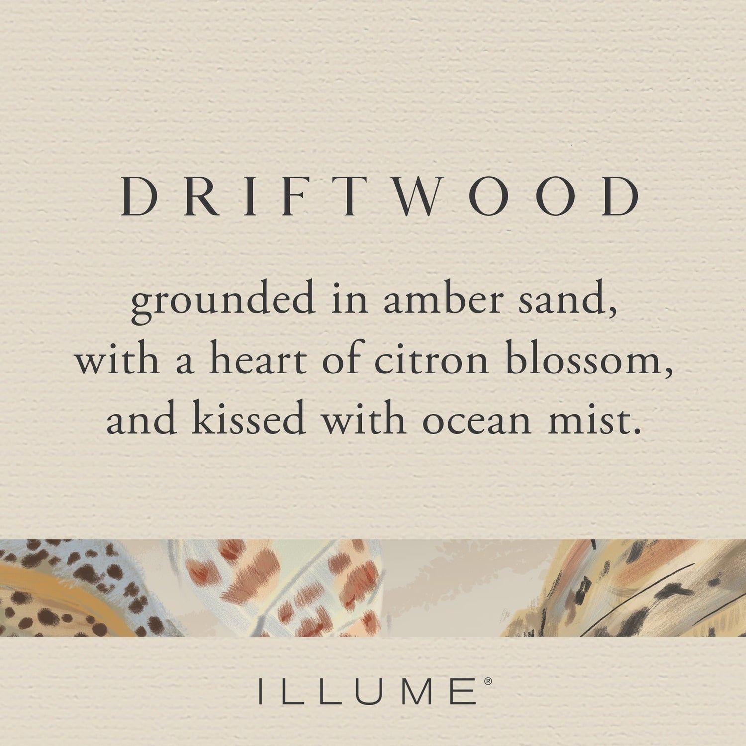 Driftwood Beach Candle - 10oz