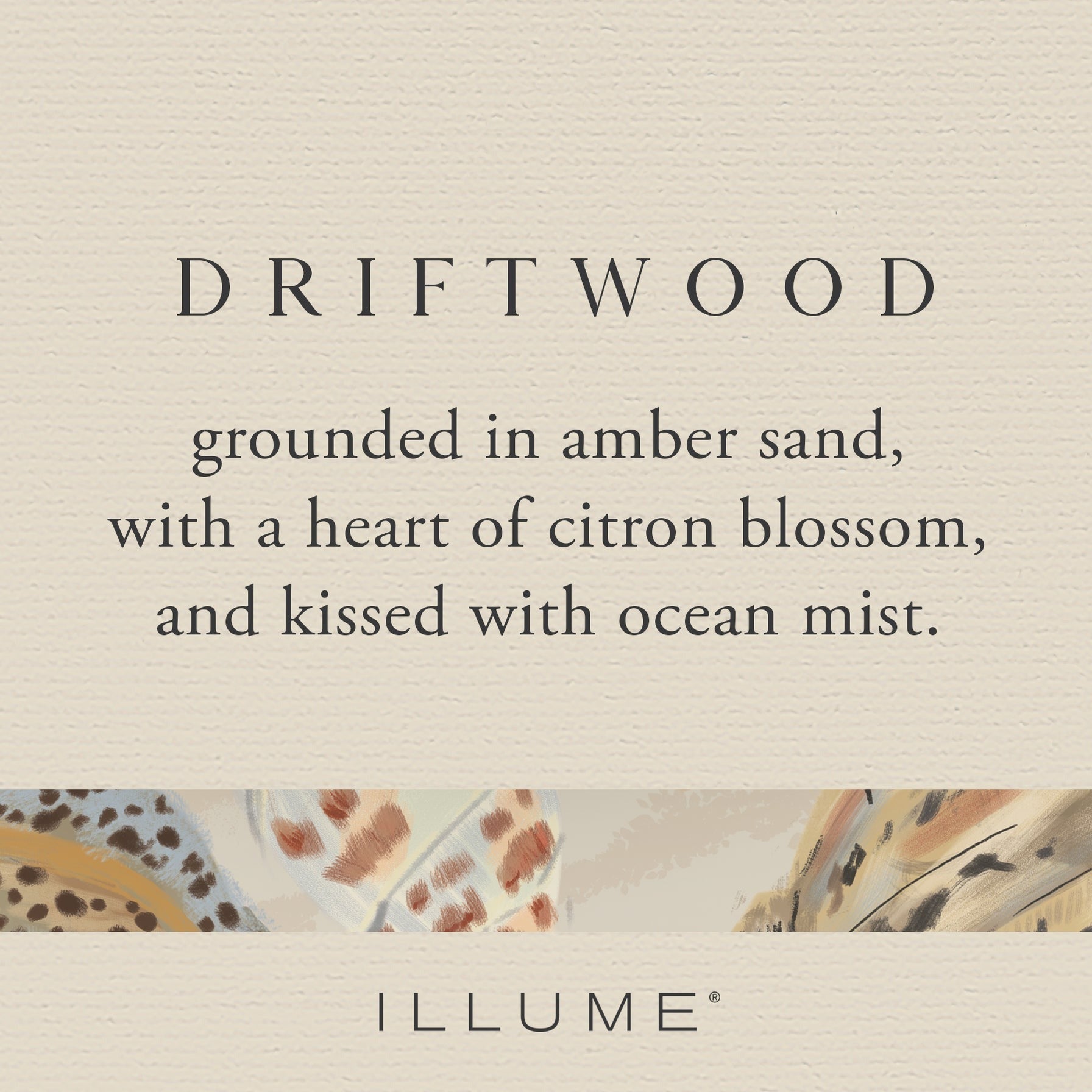 Driftwood Beach Candle - 10oz