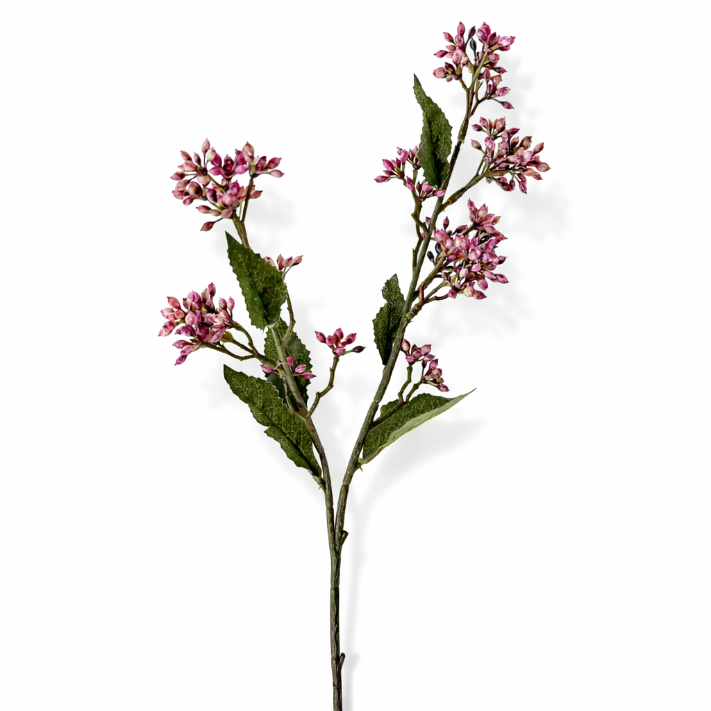 22" Eupatorium