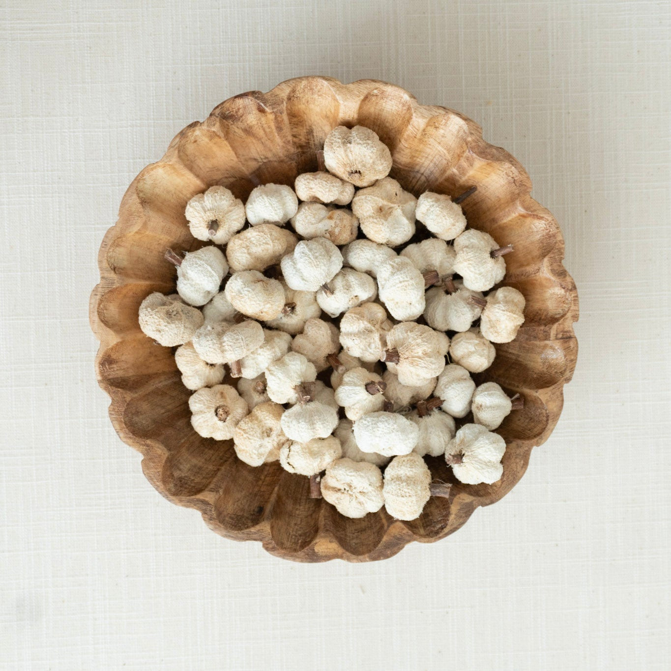 Mini Peepal Dried Pod Pumpkins