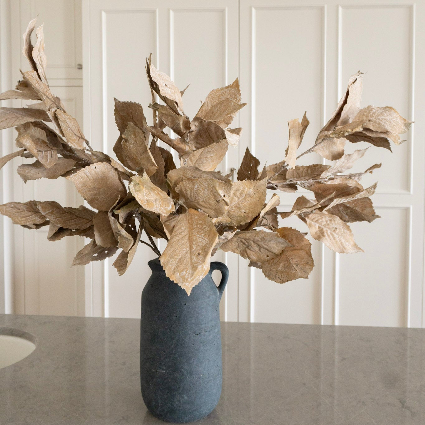 Dried Hydrangea Leaf Stem ~ Tan