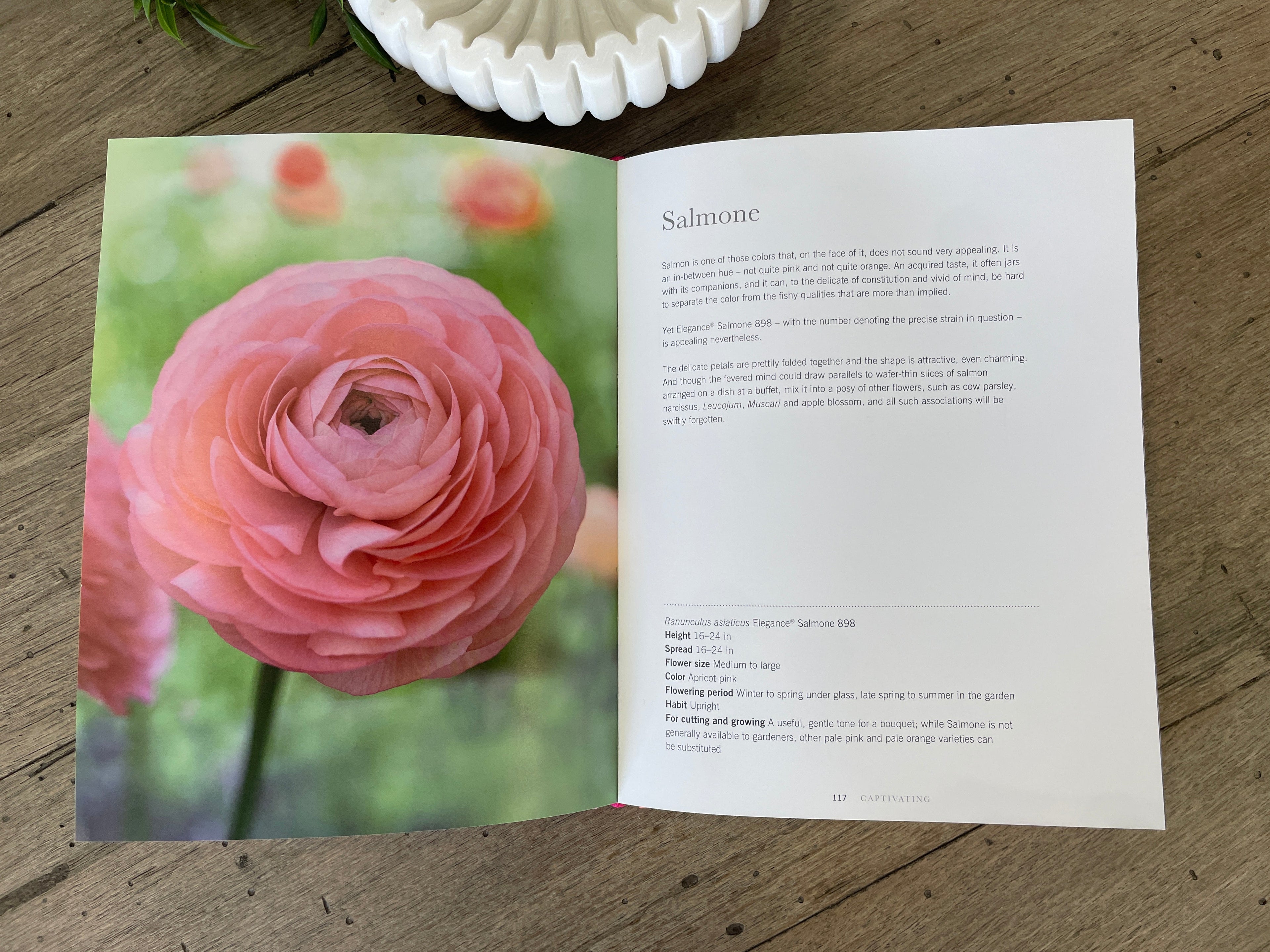 Ranunculus {Book}