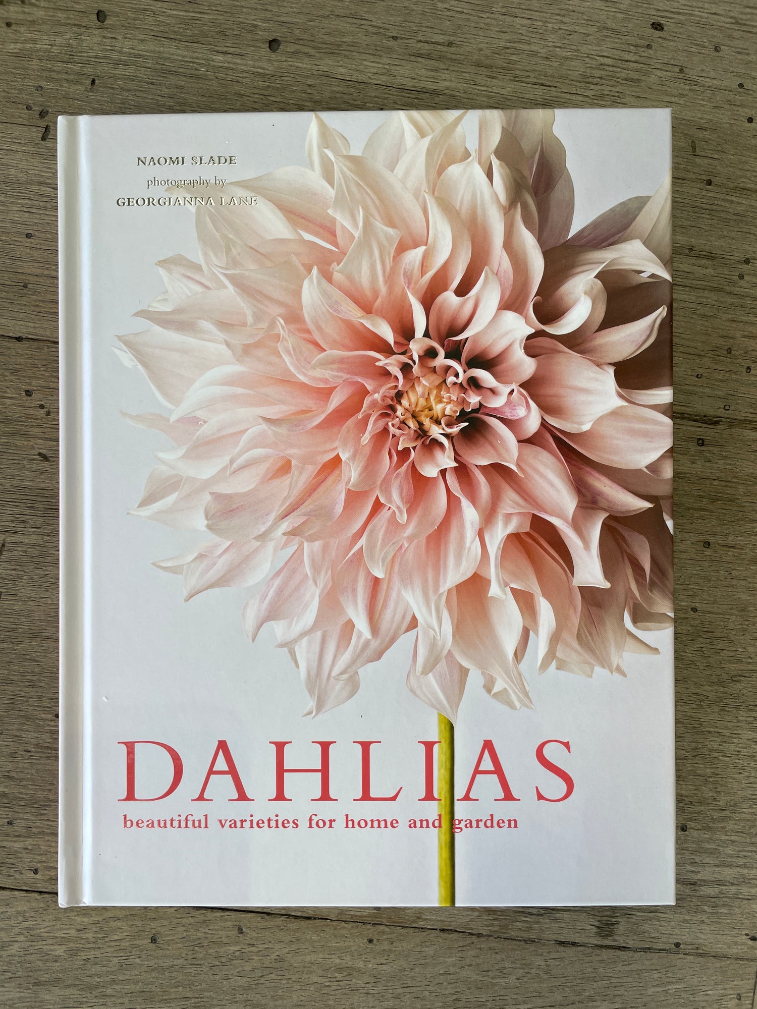 Dahlias {Book}