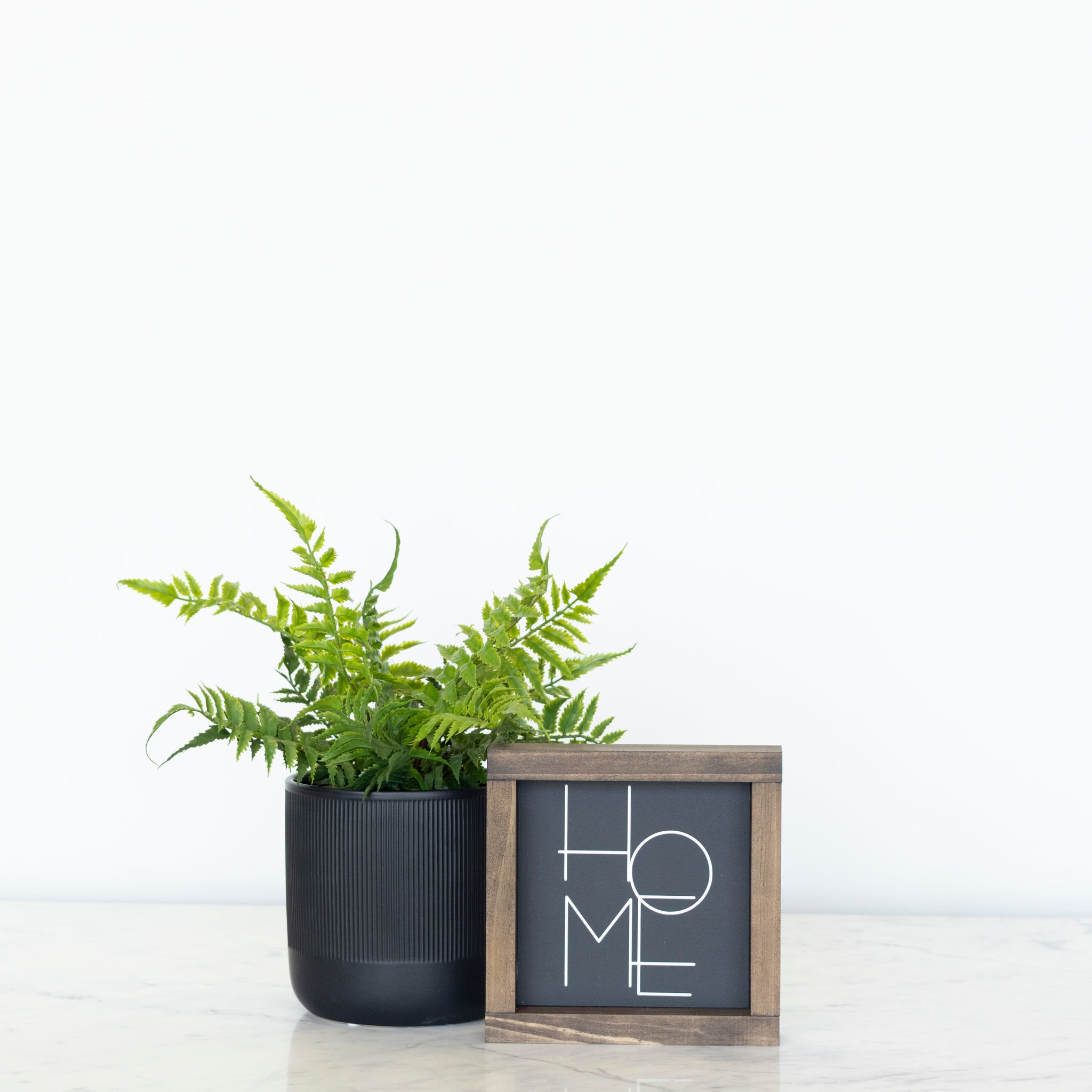 The Home bundle