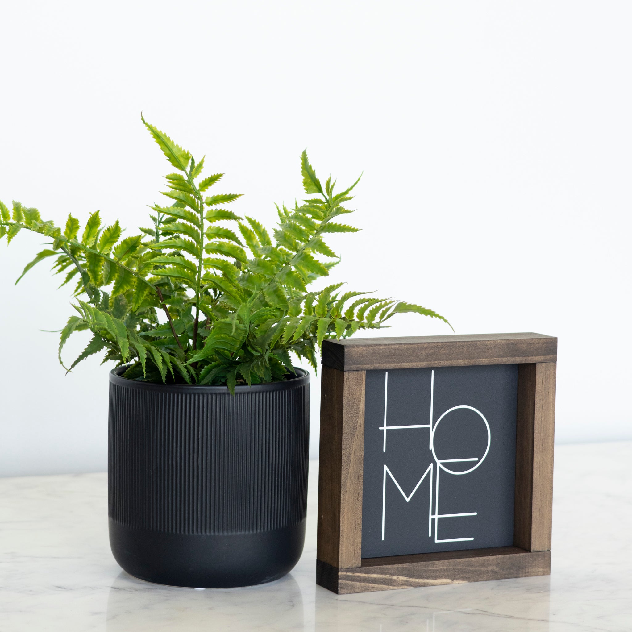 The Home bundle