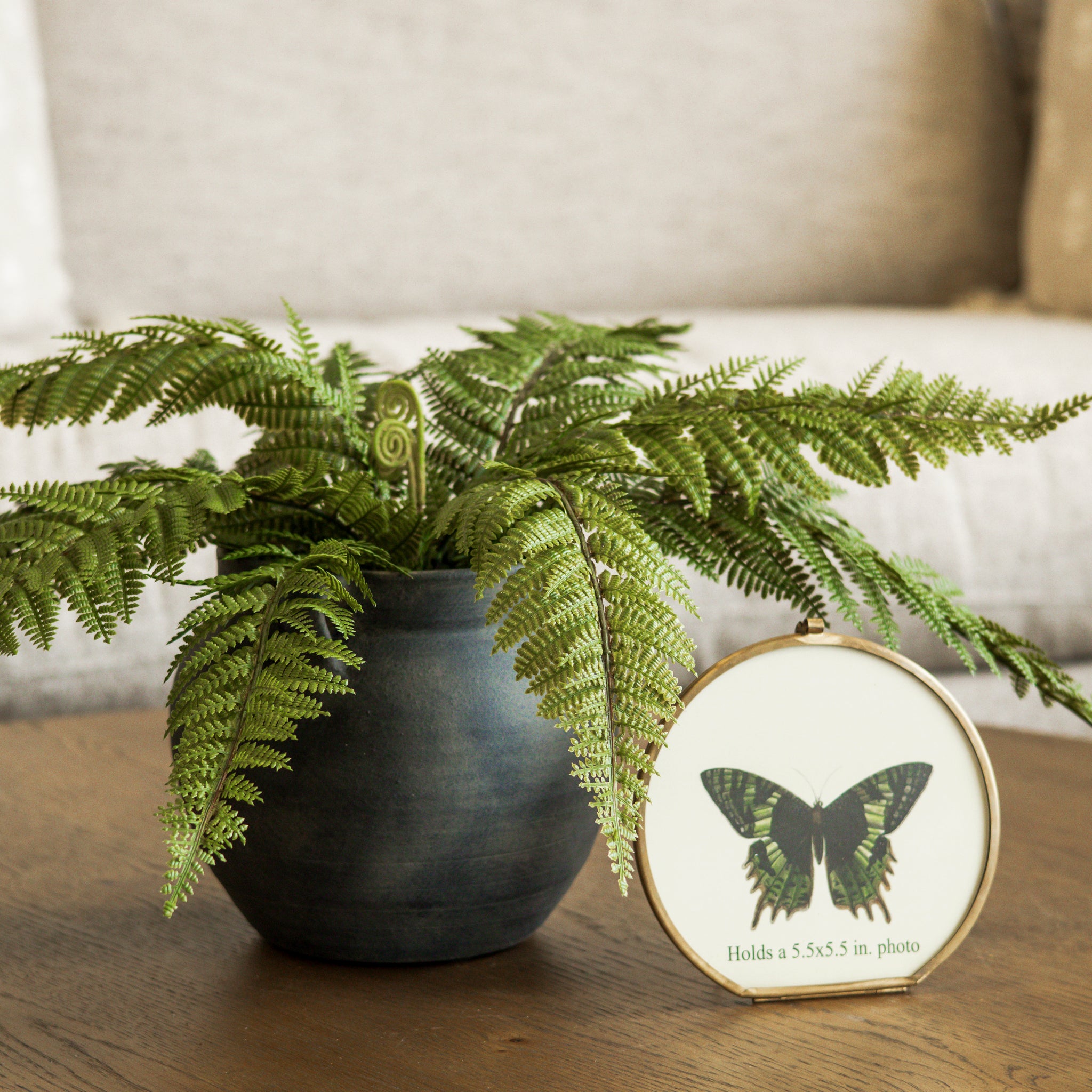 Butterfly Bundle