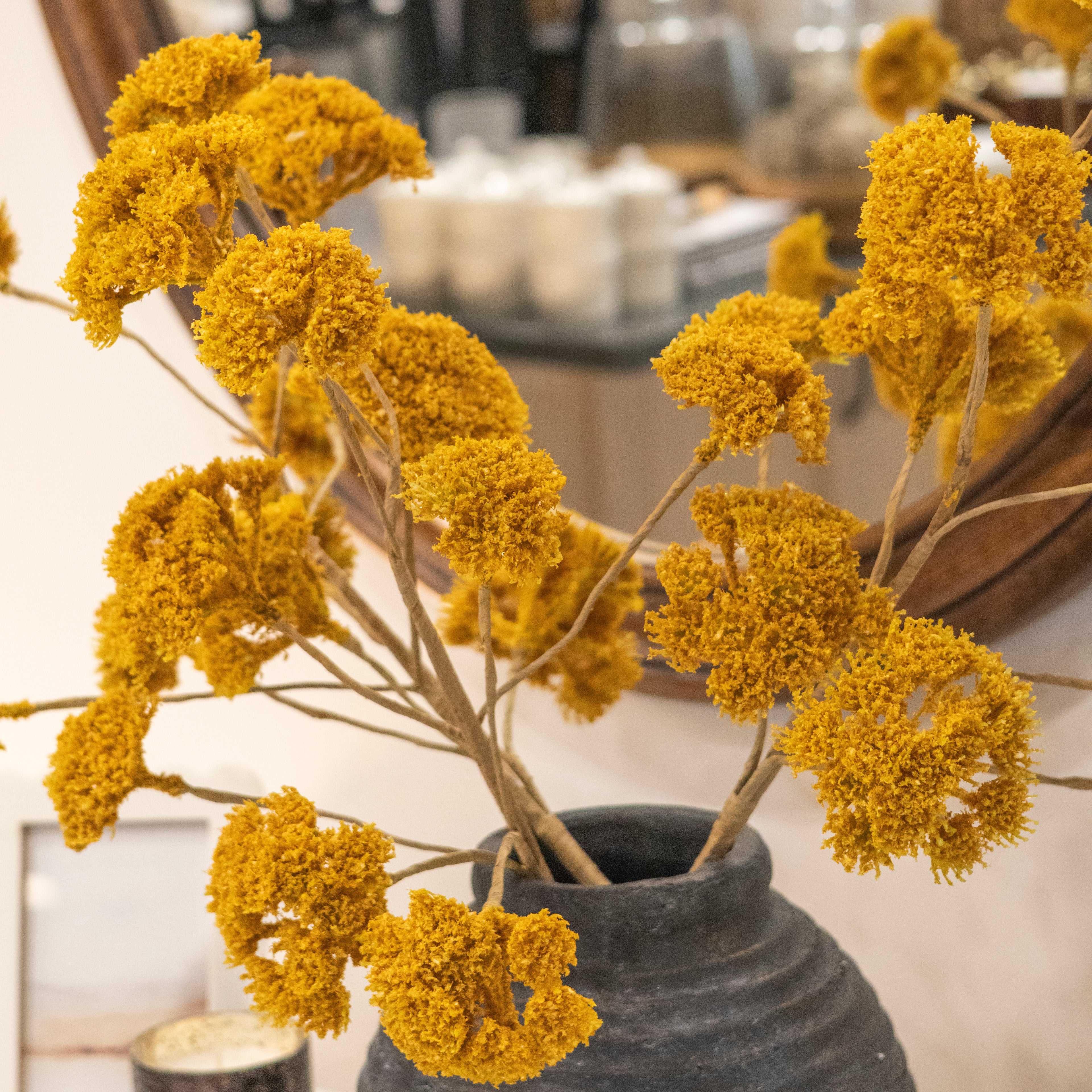 The Yarrow Bundle