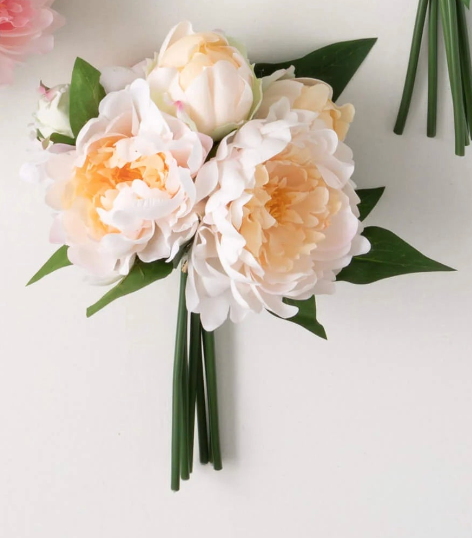 Peony Bundle