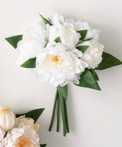 Peony Bundle
