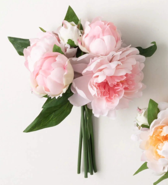 Peony Bundle