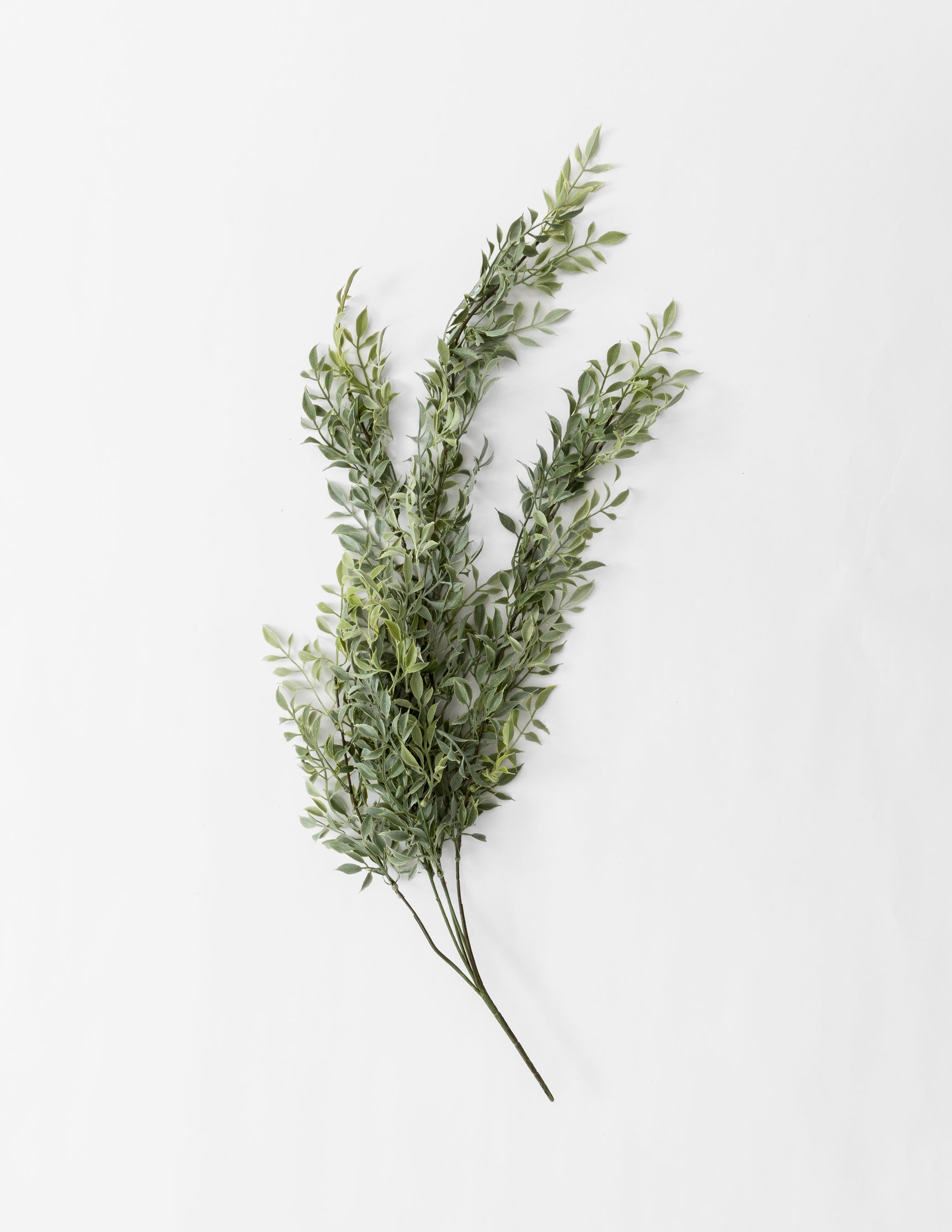 Tea Leaf Drop 34"