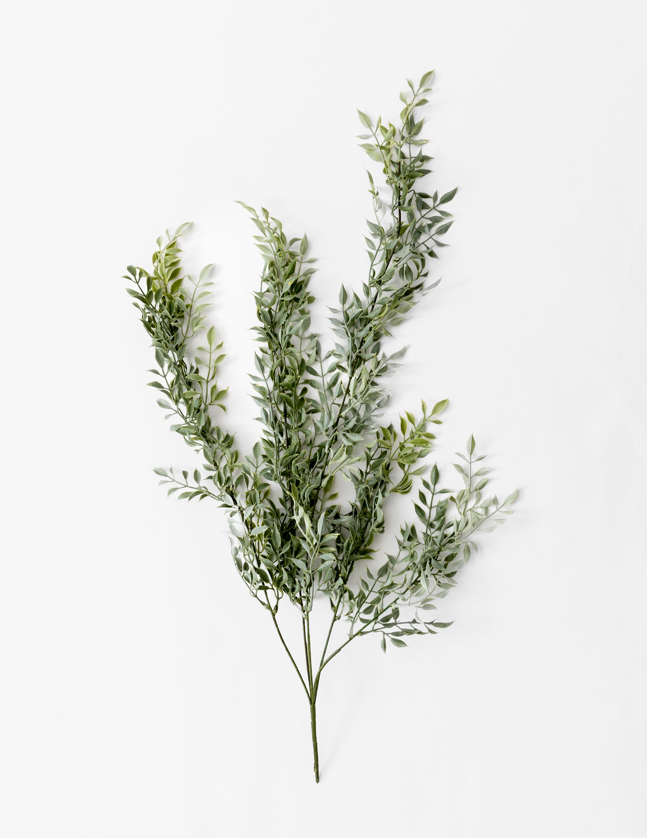 Tea Leaf Drop 34"