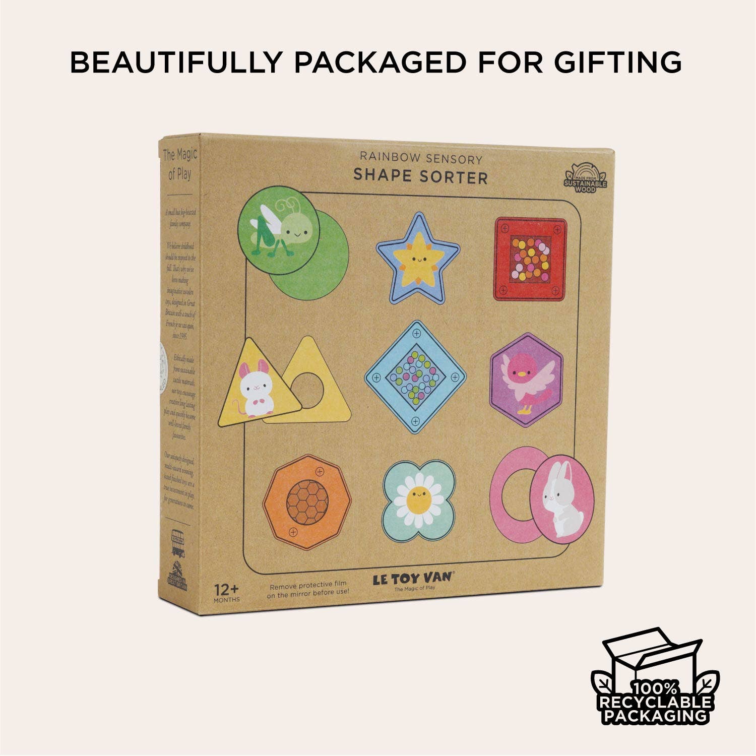 Rainbow Sensory Shape Sorter