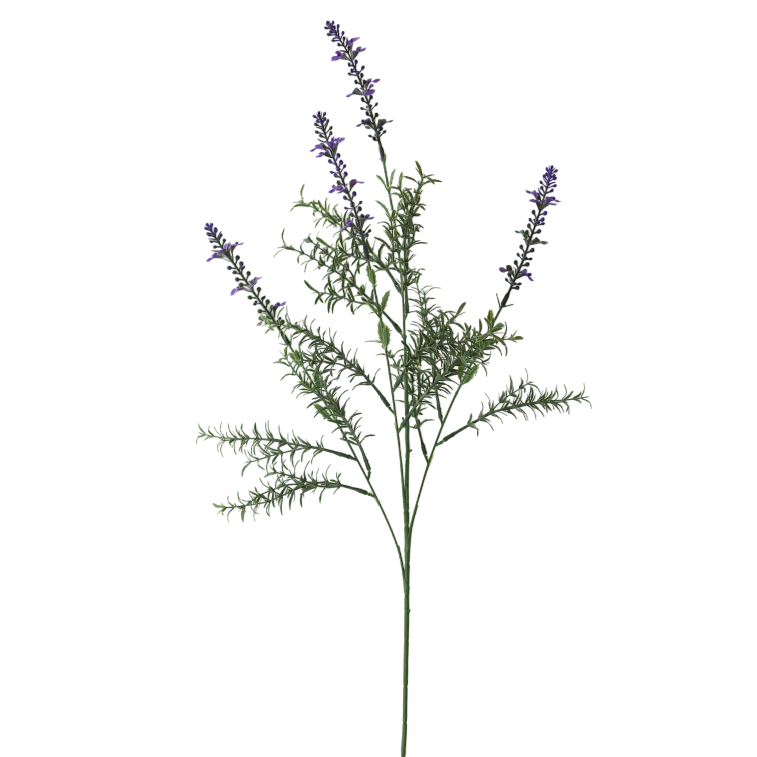 Lavender 12"