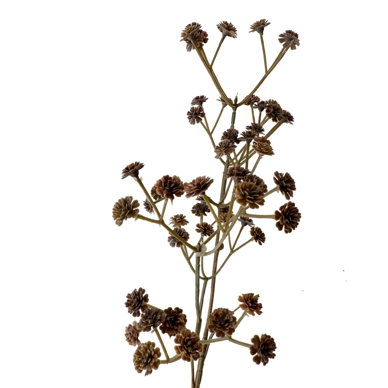 24" Brown Babysbreath