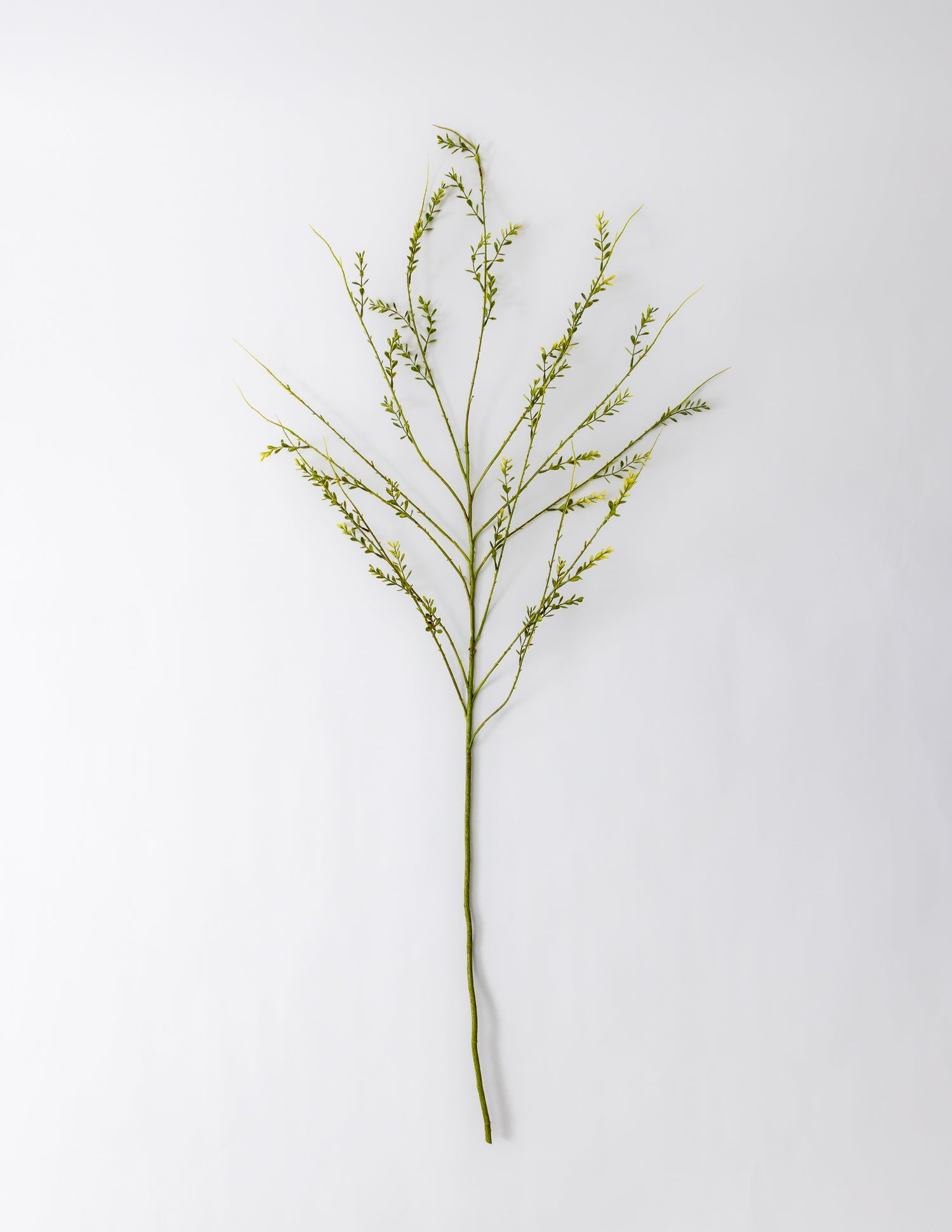 Mini Leaf Spray -  48"