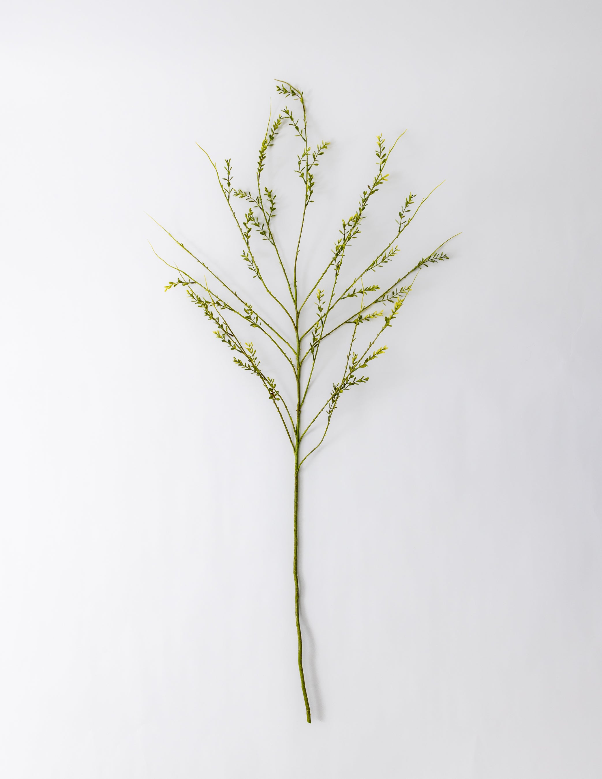 Mini Leaf Spray -  48"