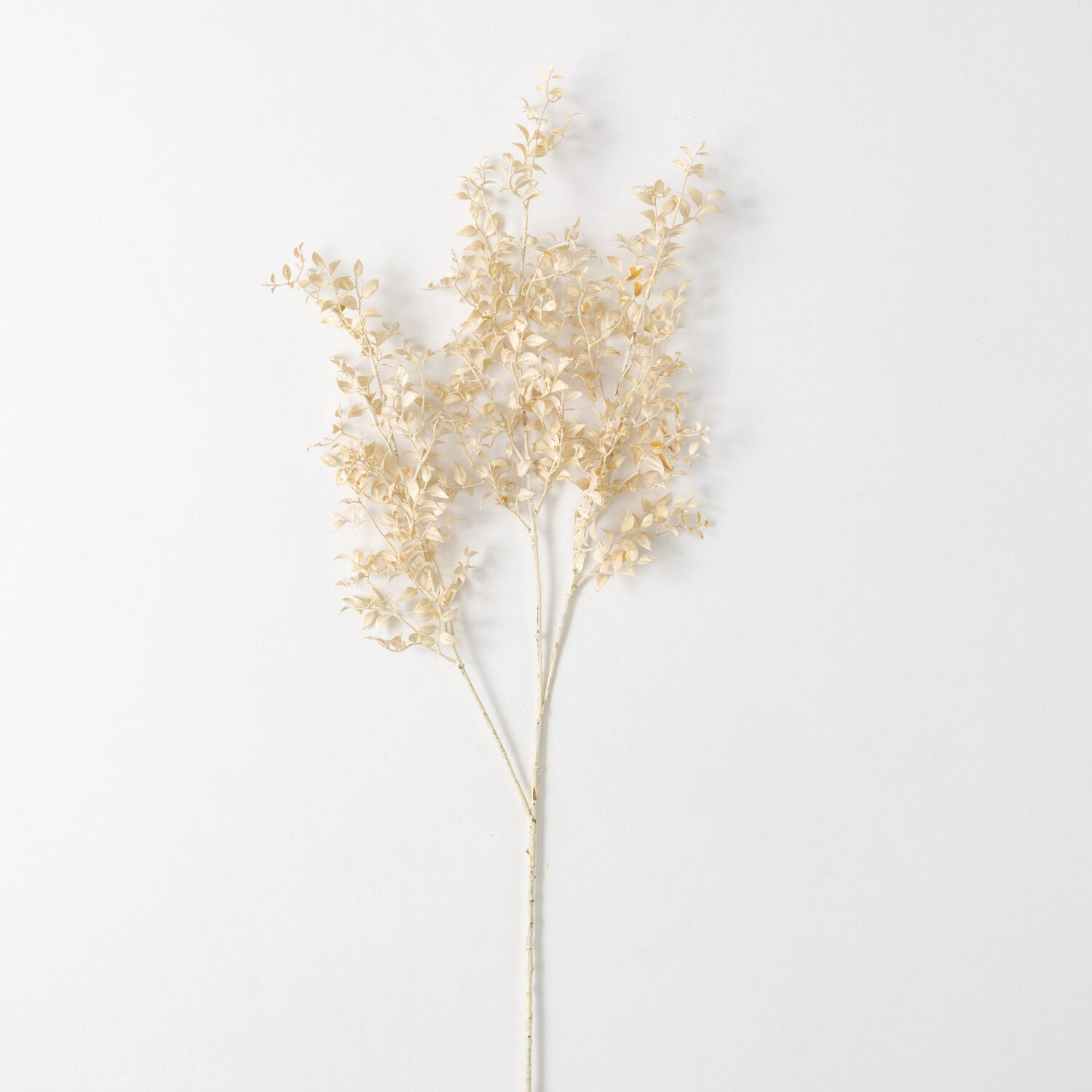 Smilax Stem - 35"