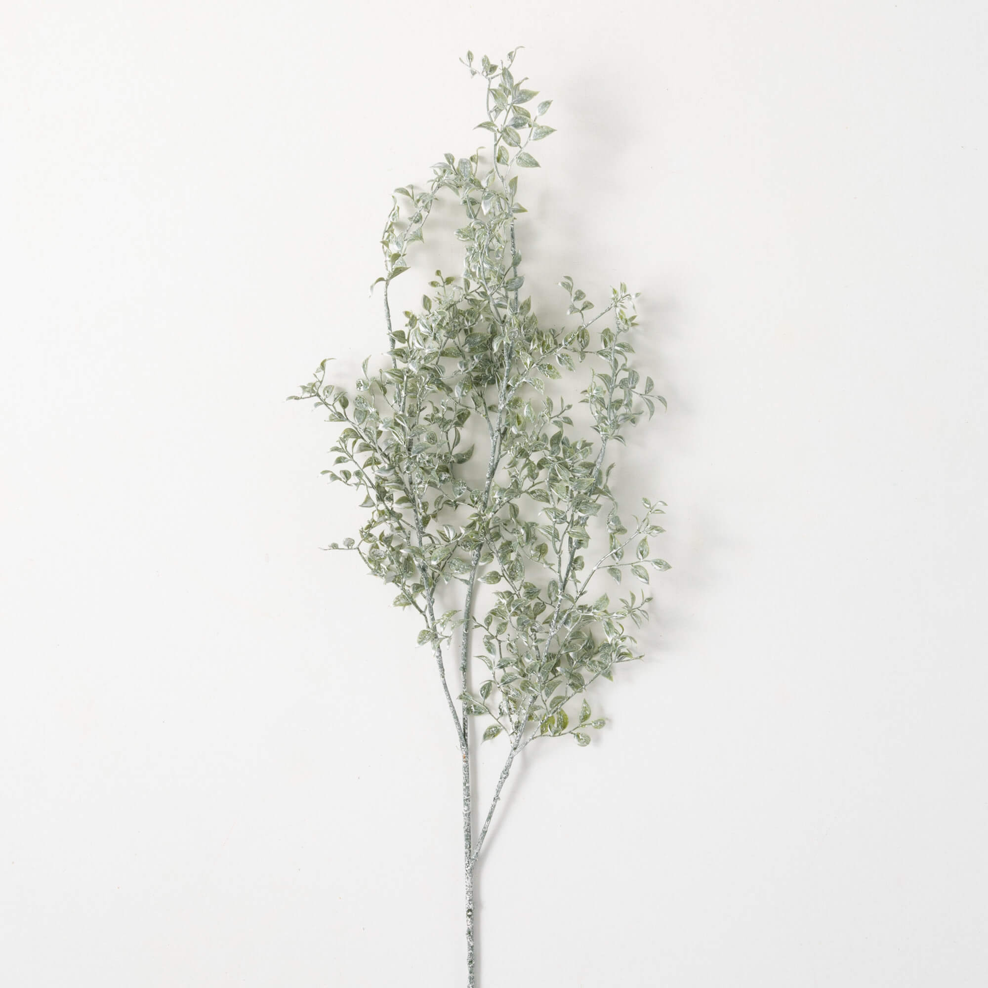 Smilax Stem - 36"